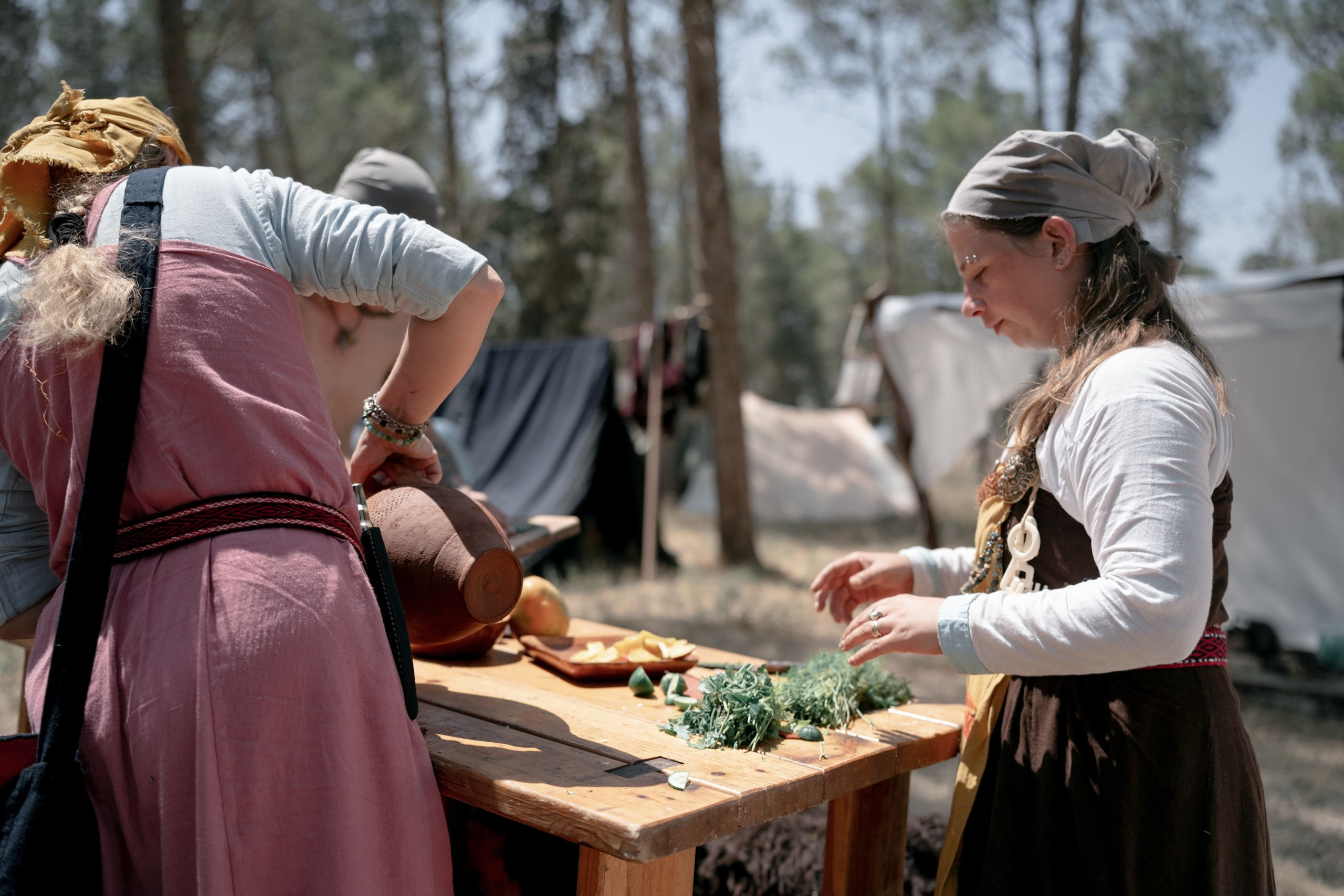 Кланы Скандинавии — клуб реконструкции «Нортман». КРиС «Нортман»