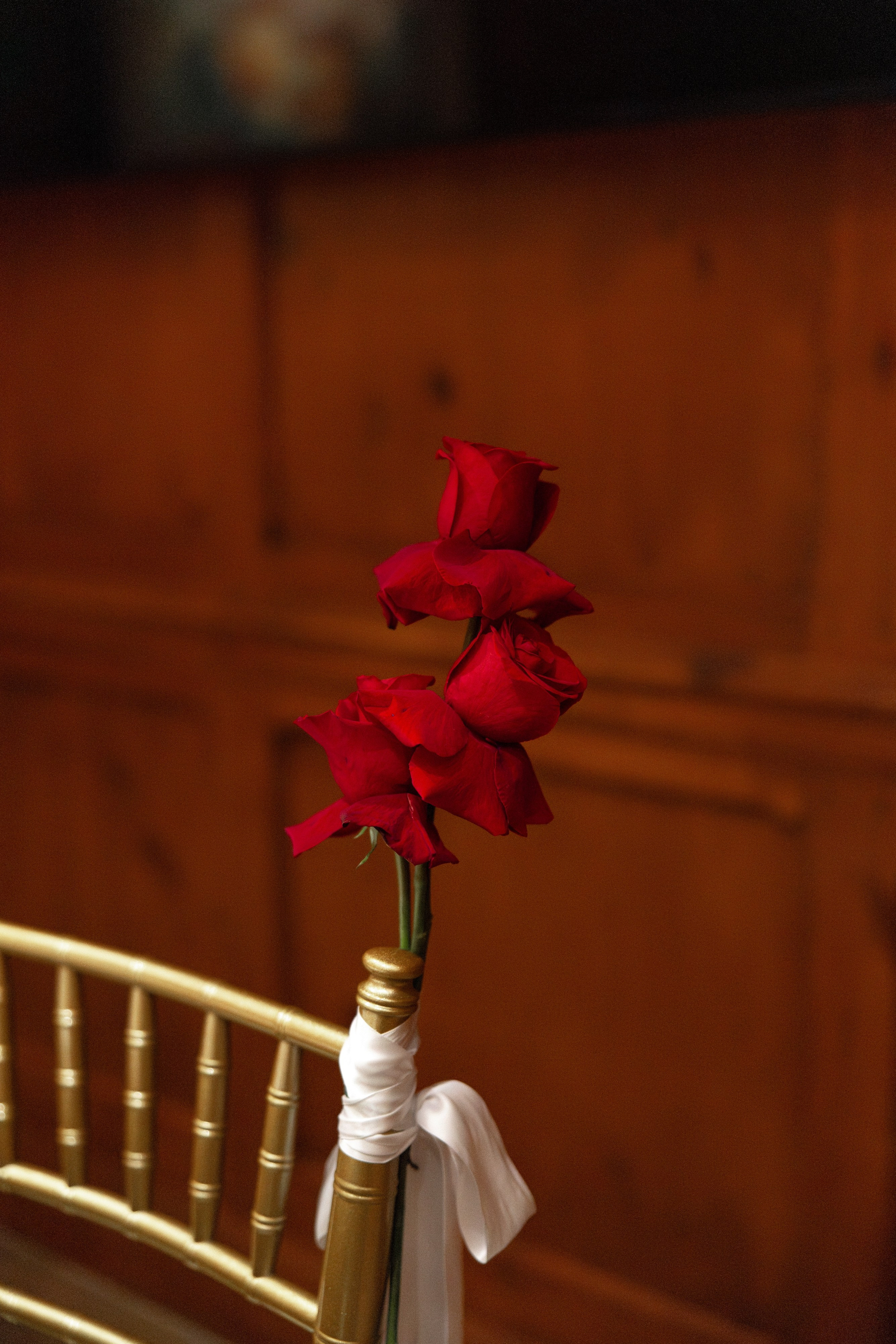 Jada and Dalton. North Carolina. Photographer Anastasia Nagibina
