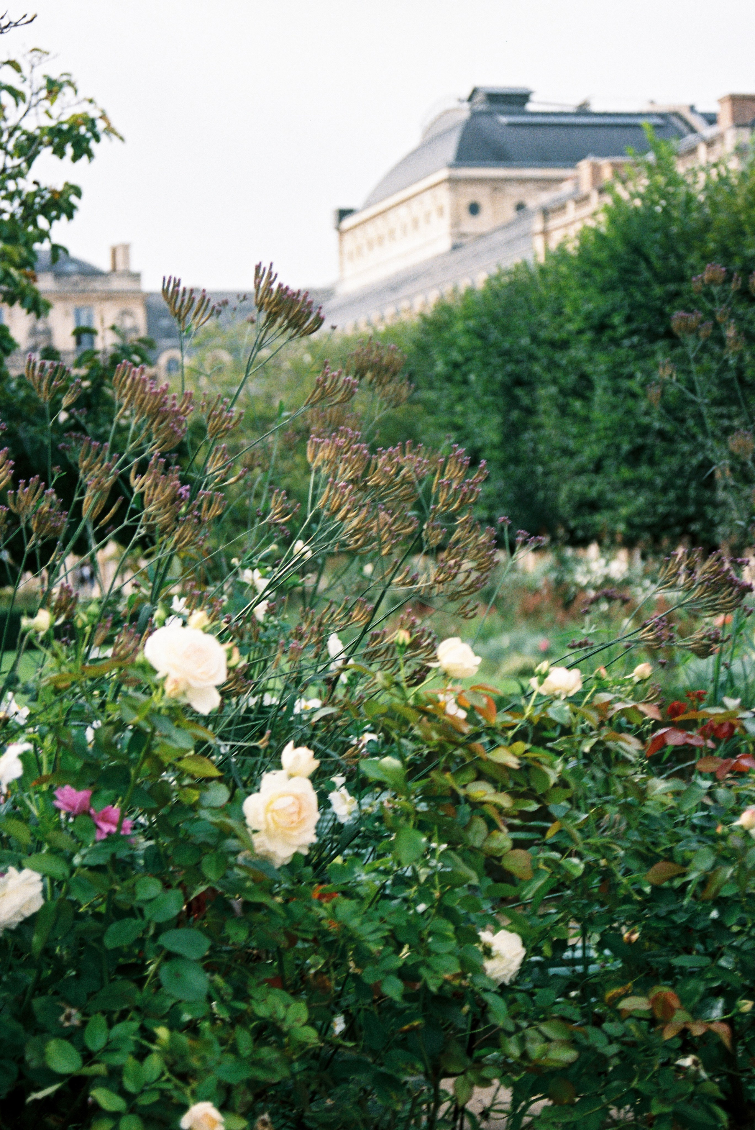 Romantic Photoshoot in Paris — Paris, the City of Love