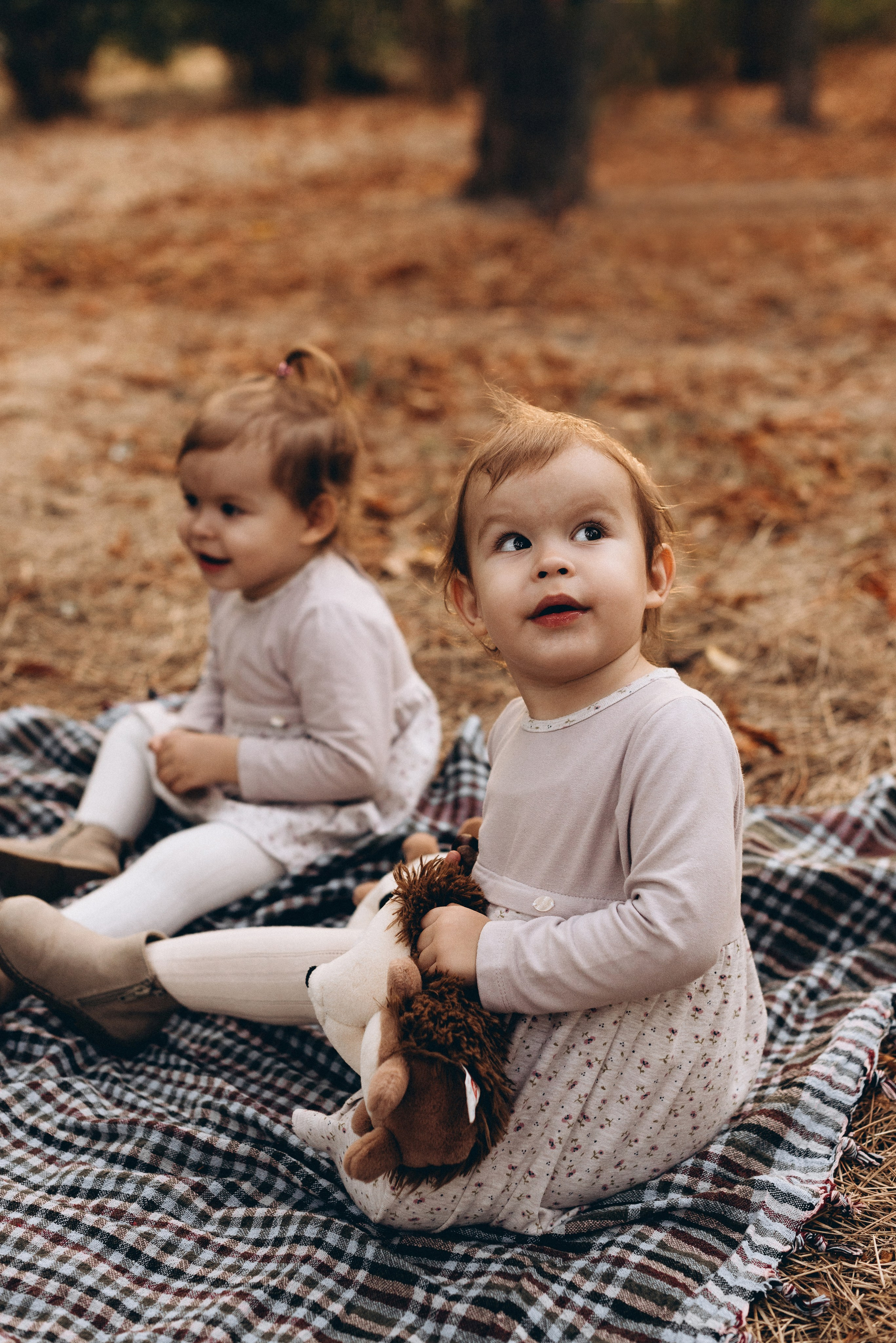 *. Wedding and family photographer San Diego