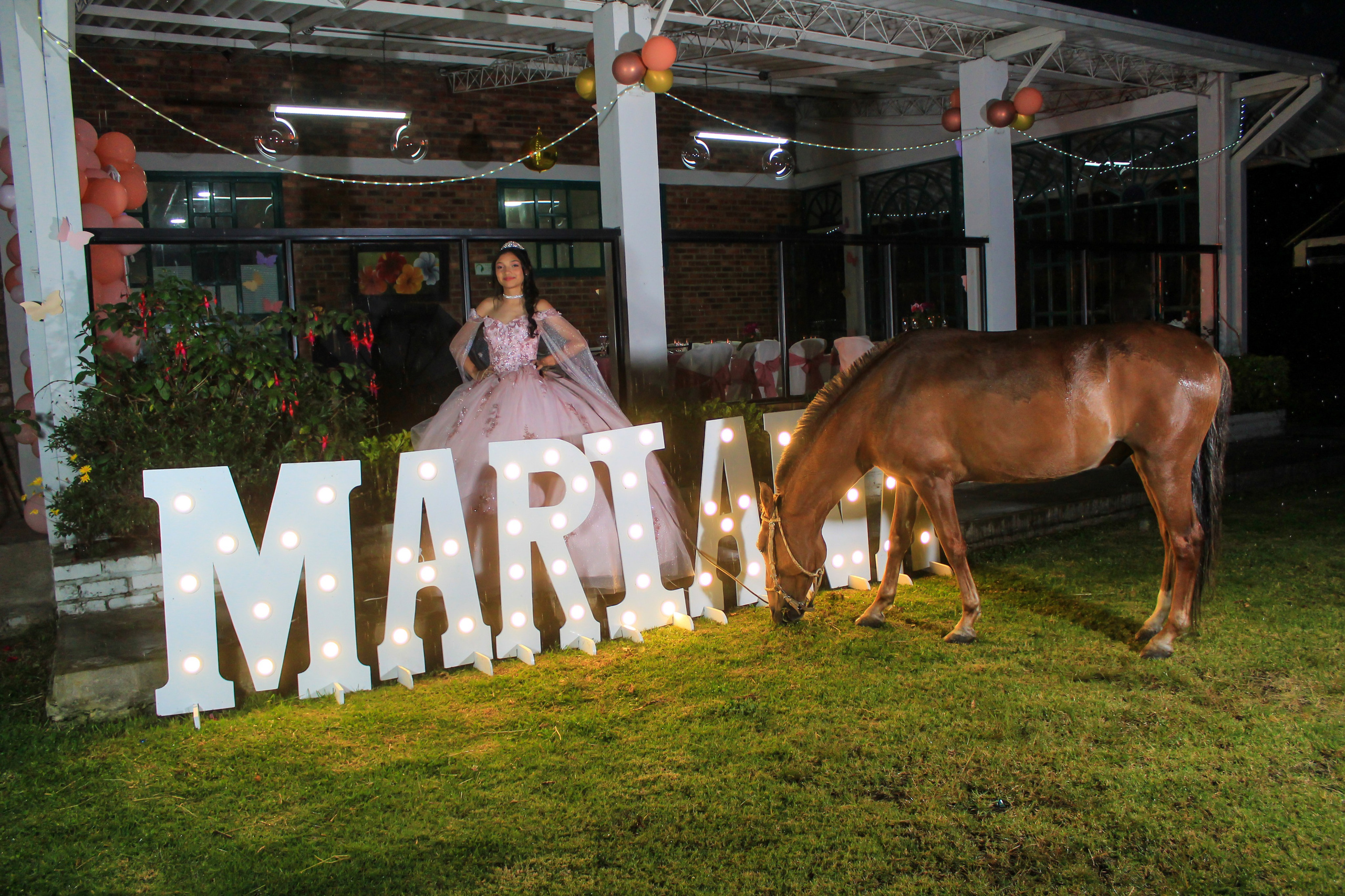 Portafolio. Fotógrafo de Bodas y Quinceañeras