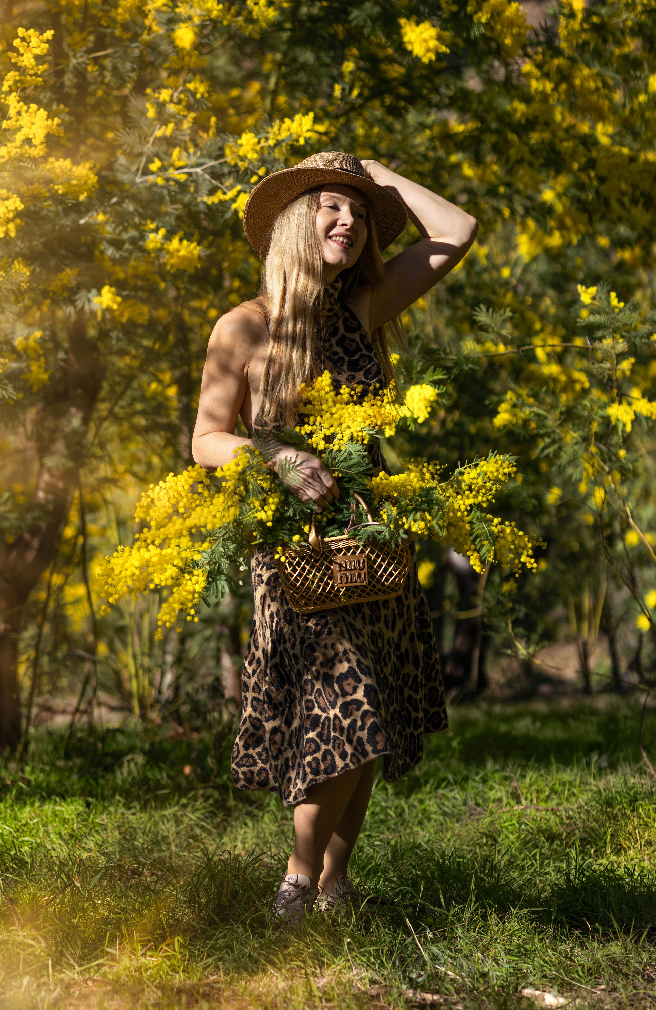 Mimosa. Photographer in Munich