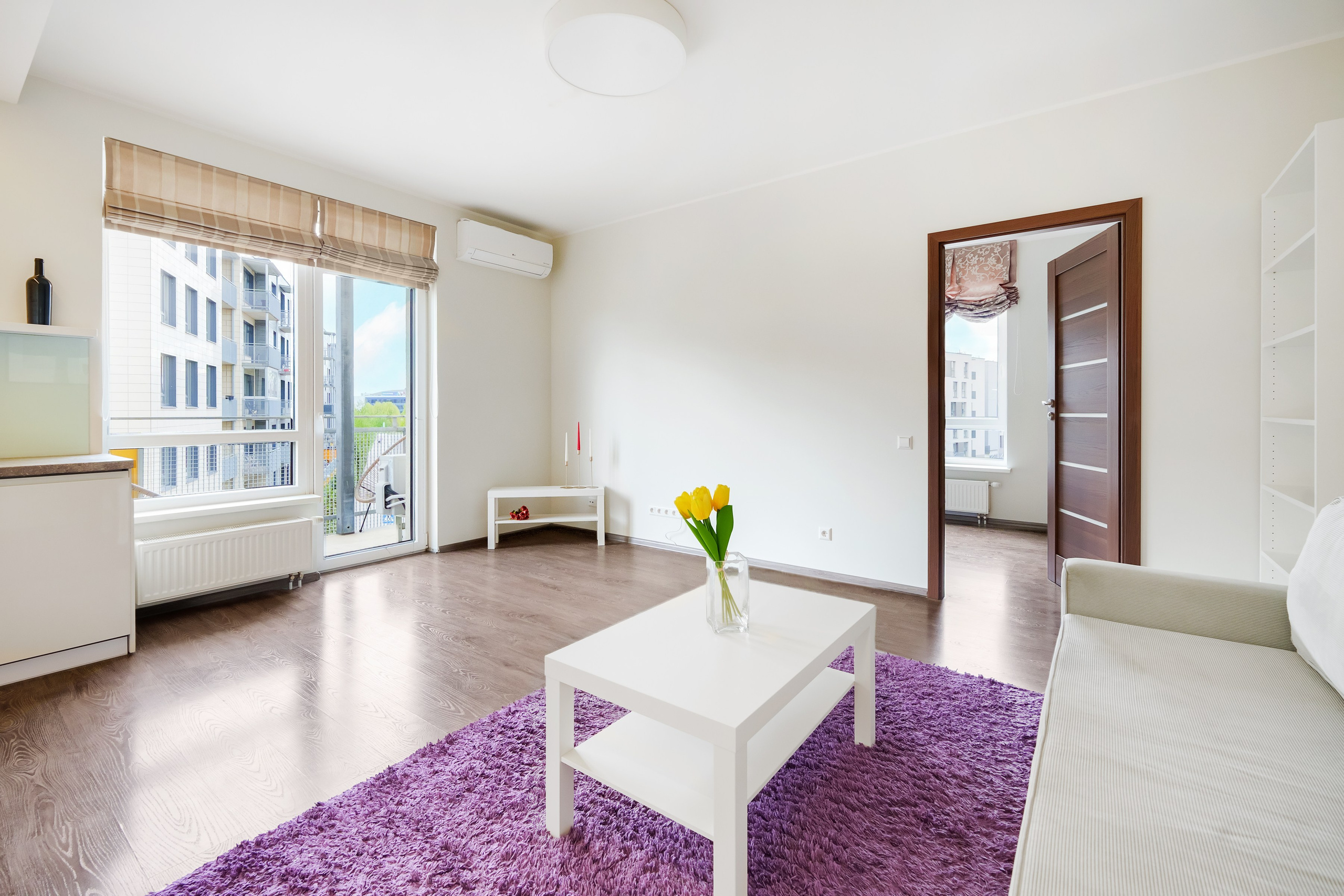 Balčikonio g. 7. Elina Sapiega fotografė Vilniuje