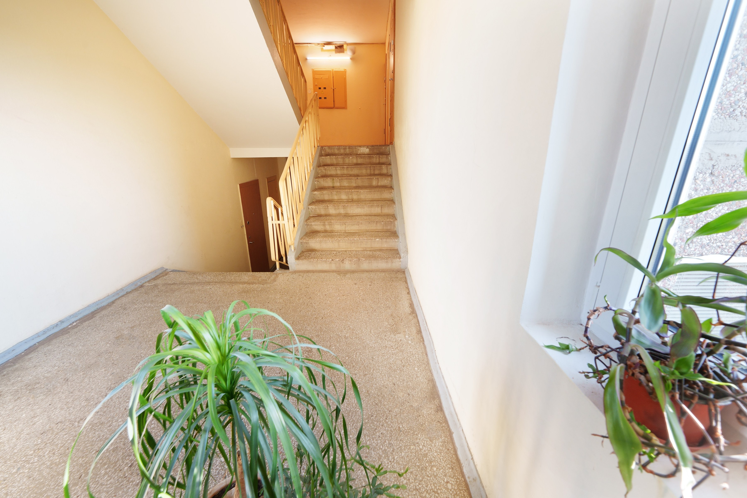 Papilenų g. 11. Elina Sapiega fotografė Vilniuje