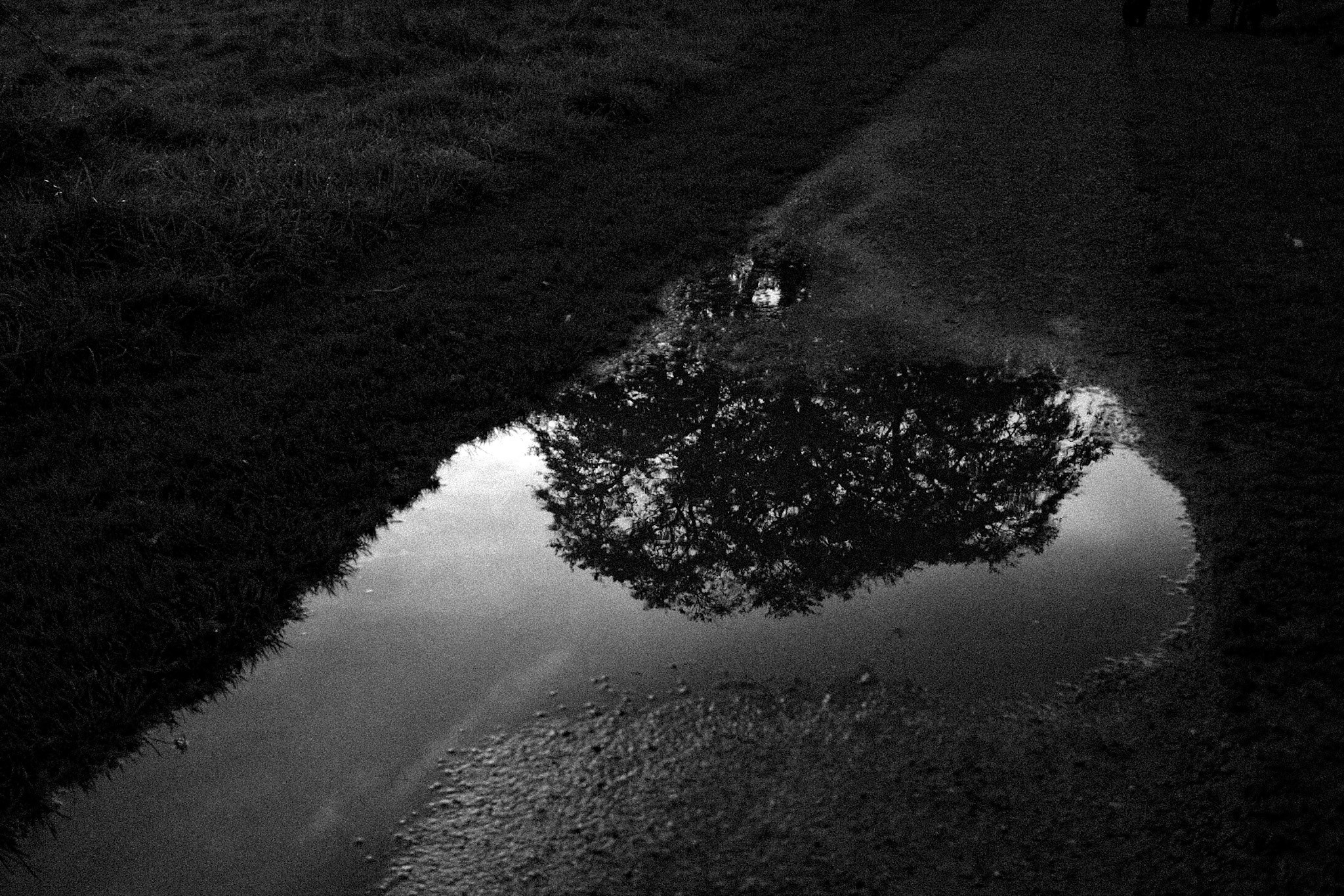 Castle Town, Celbridge, 2023