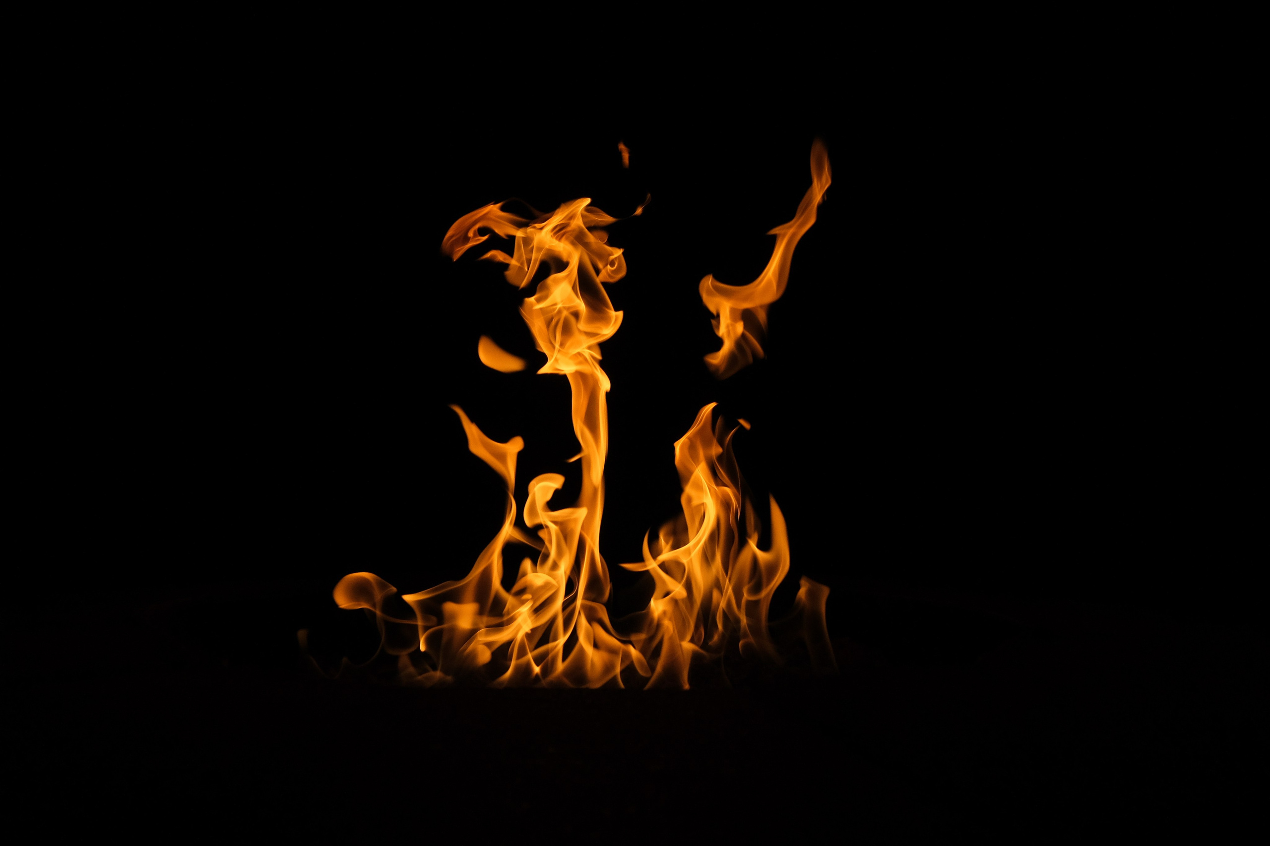 VATRA. Reportage concert portrait photography in the San Francisco Bay Area