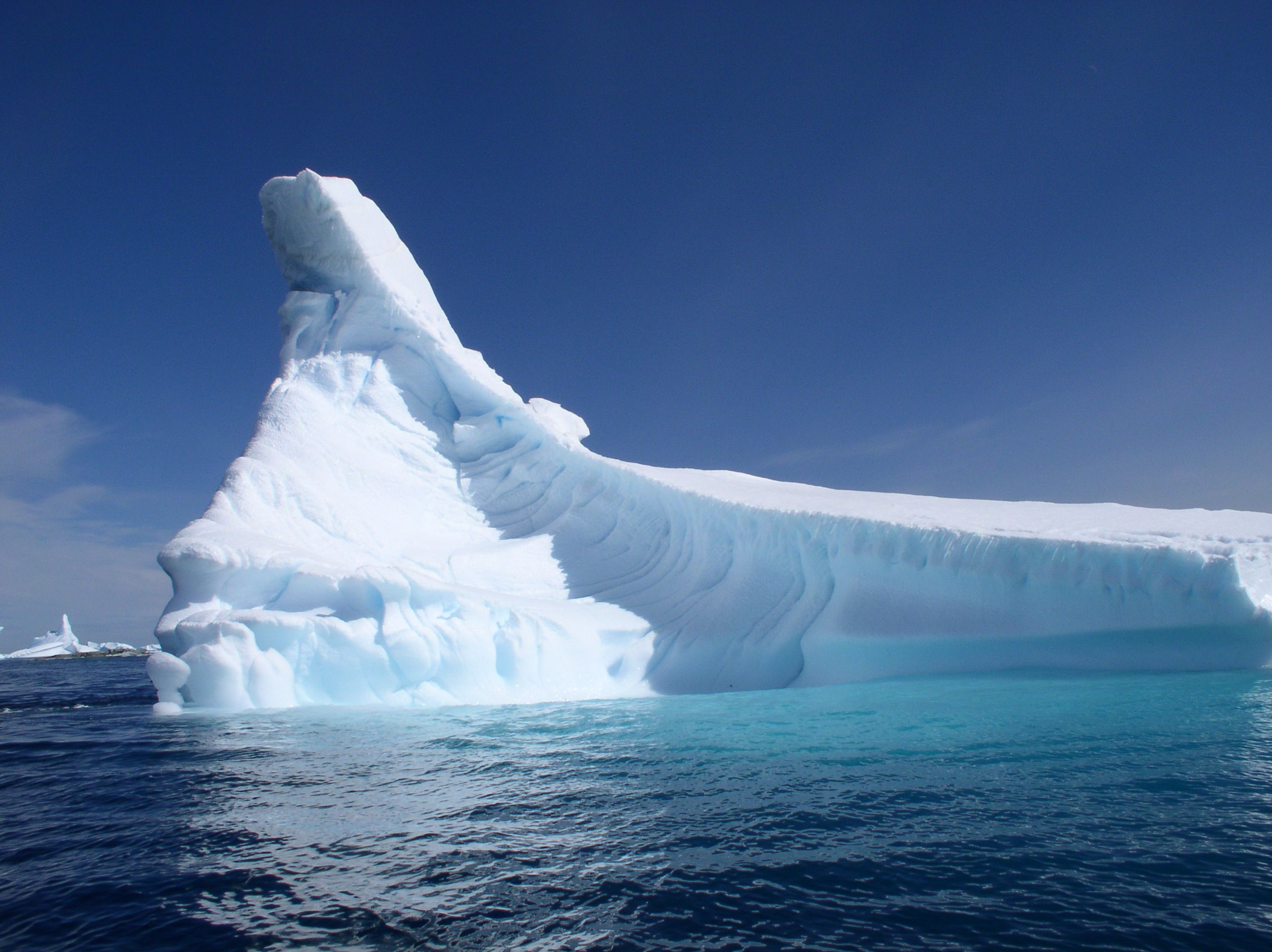 ANTARCTICA. Reportage concert portrait photography in the San Francisco Bay Area