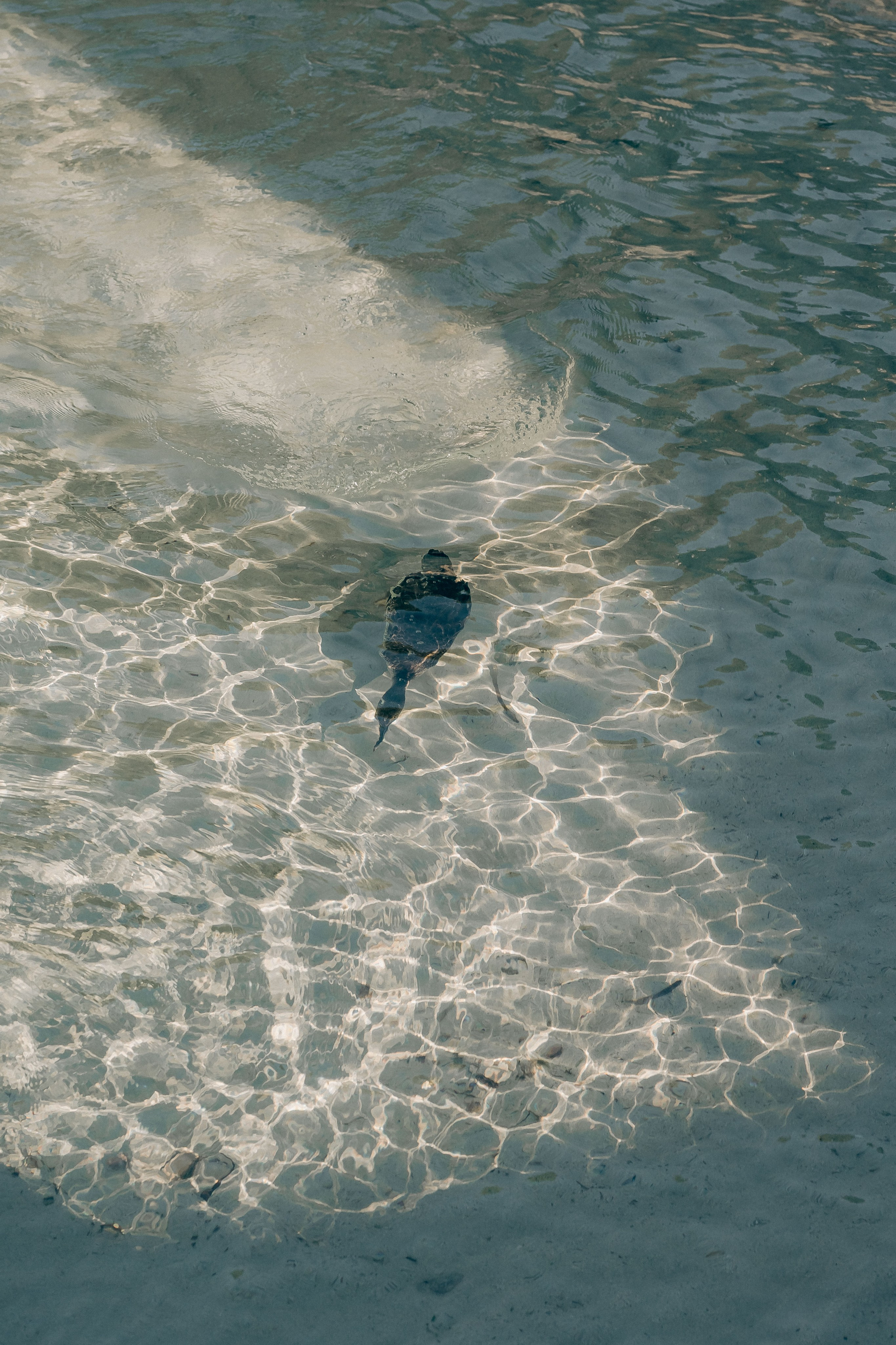 Nina on the bay. Fotógrafo en Palma de Mallorca