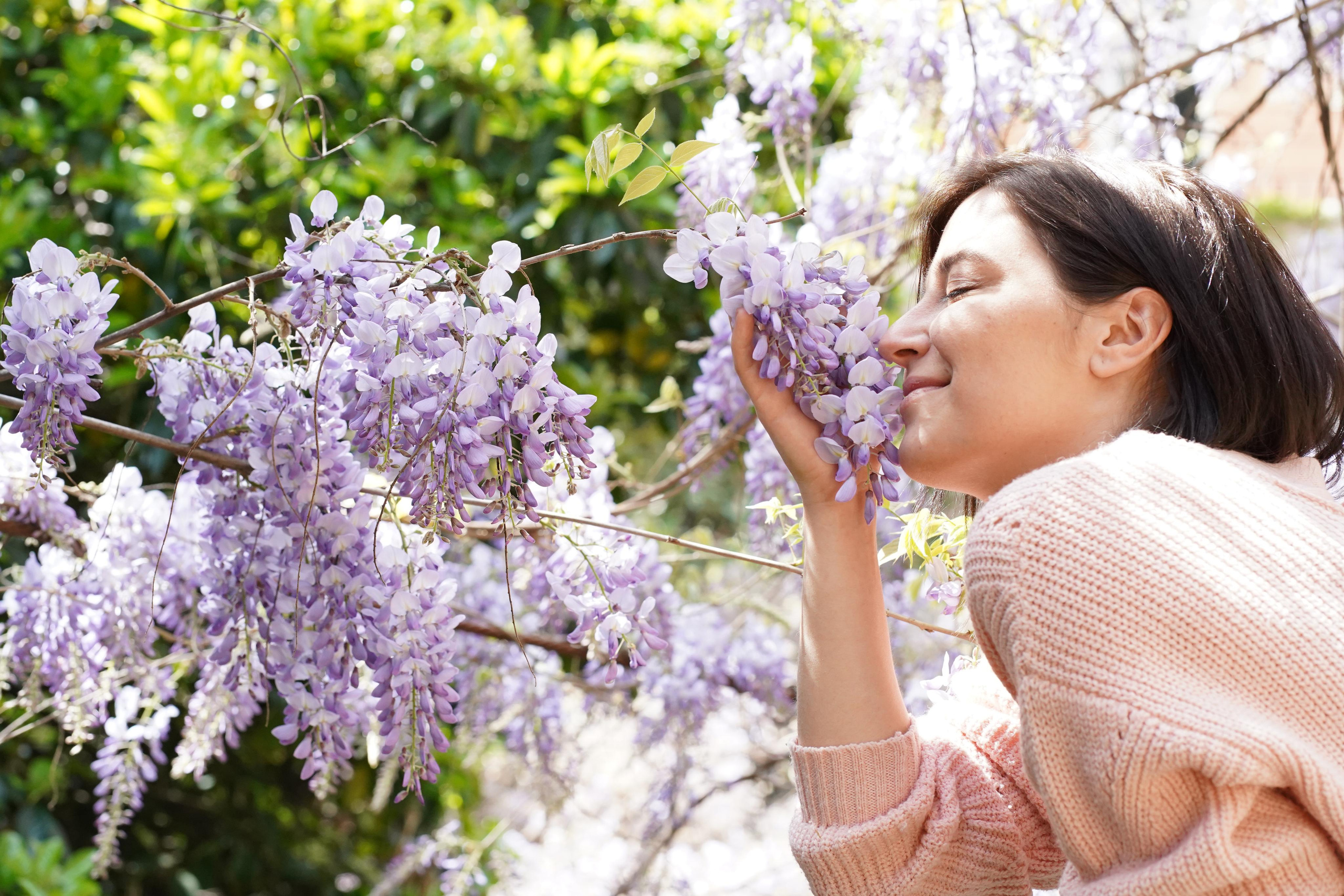 Цветущий Милан. Дарья. Гид и фотограф в Милане