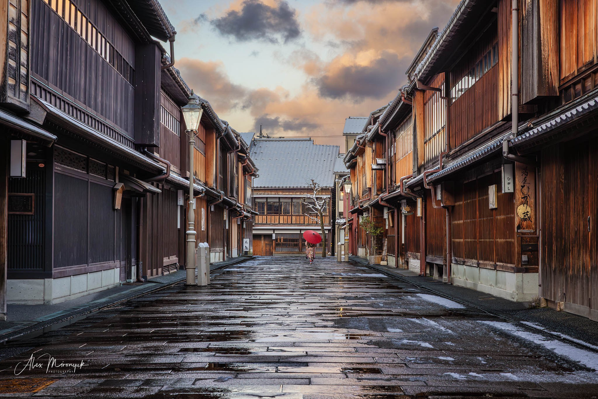 Winter Japan: Snow Monkeys, Castles & Timeless Villages. Pet, Senior, Landscape, portrait studio, photographer in Miami and Sou