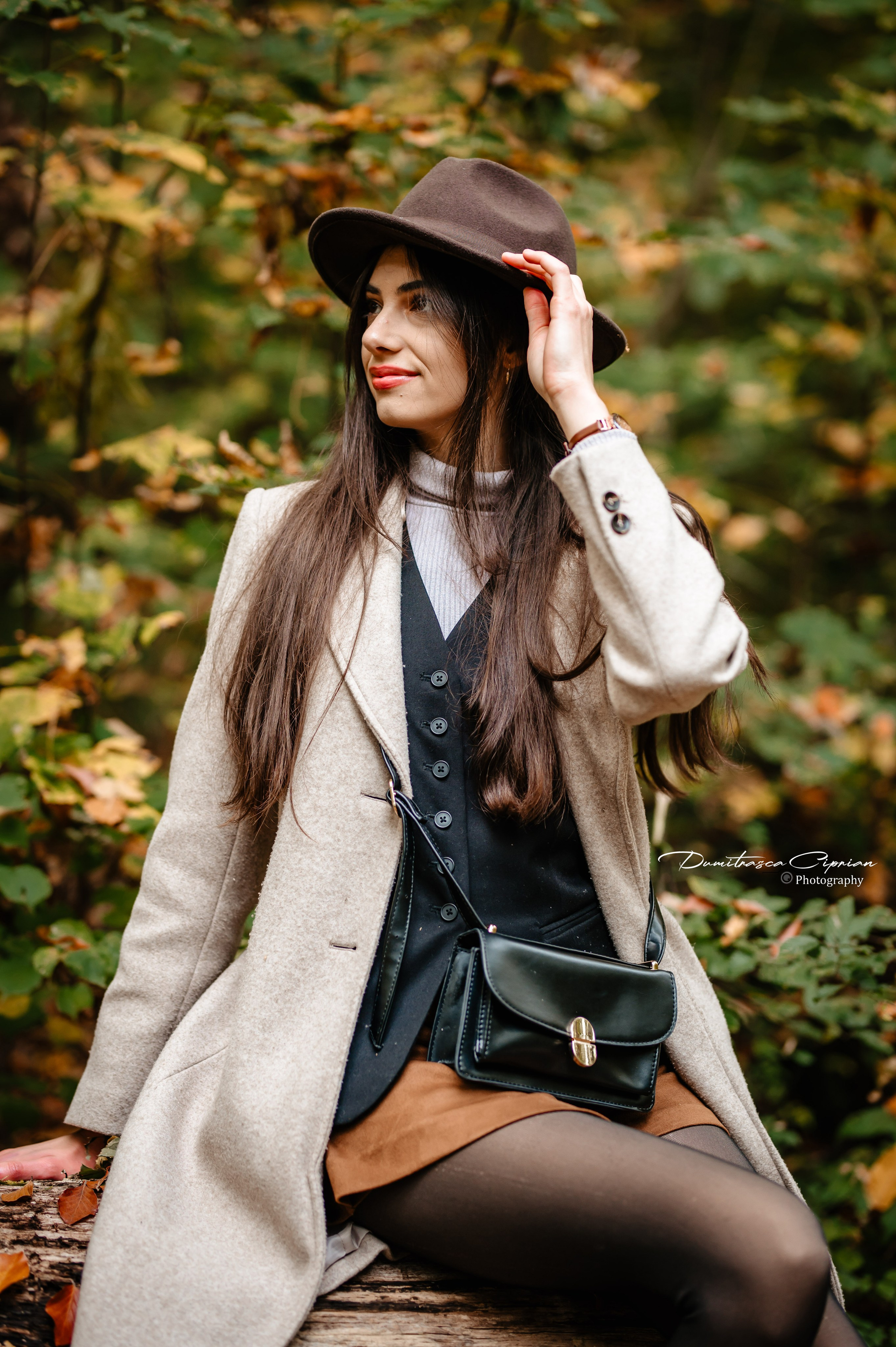 Golden Fall. Dumitrasca Ciprian Photography