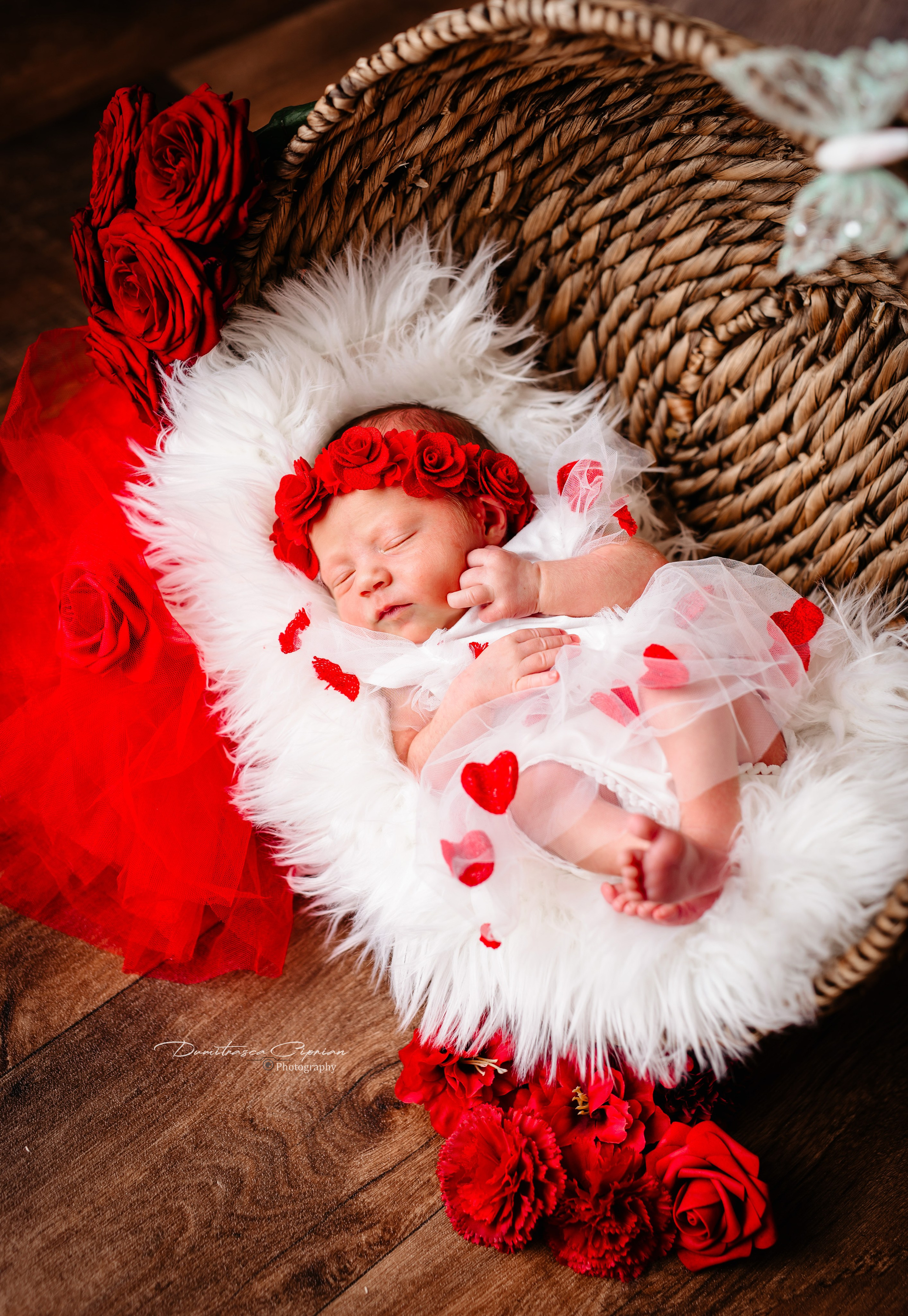 A sweet little angel. Dumitrasca Ciprian Photography