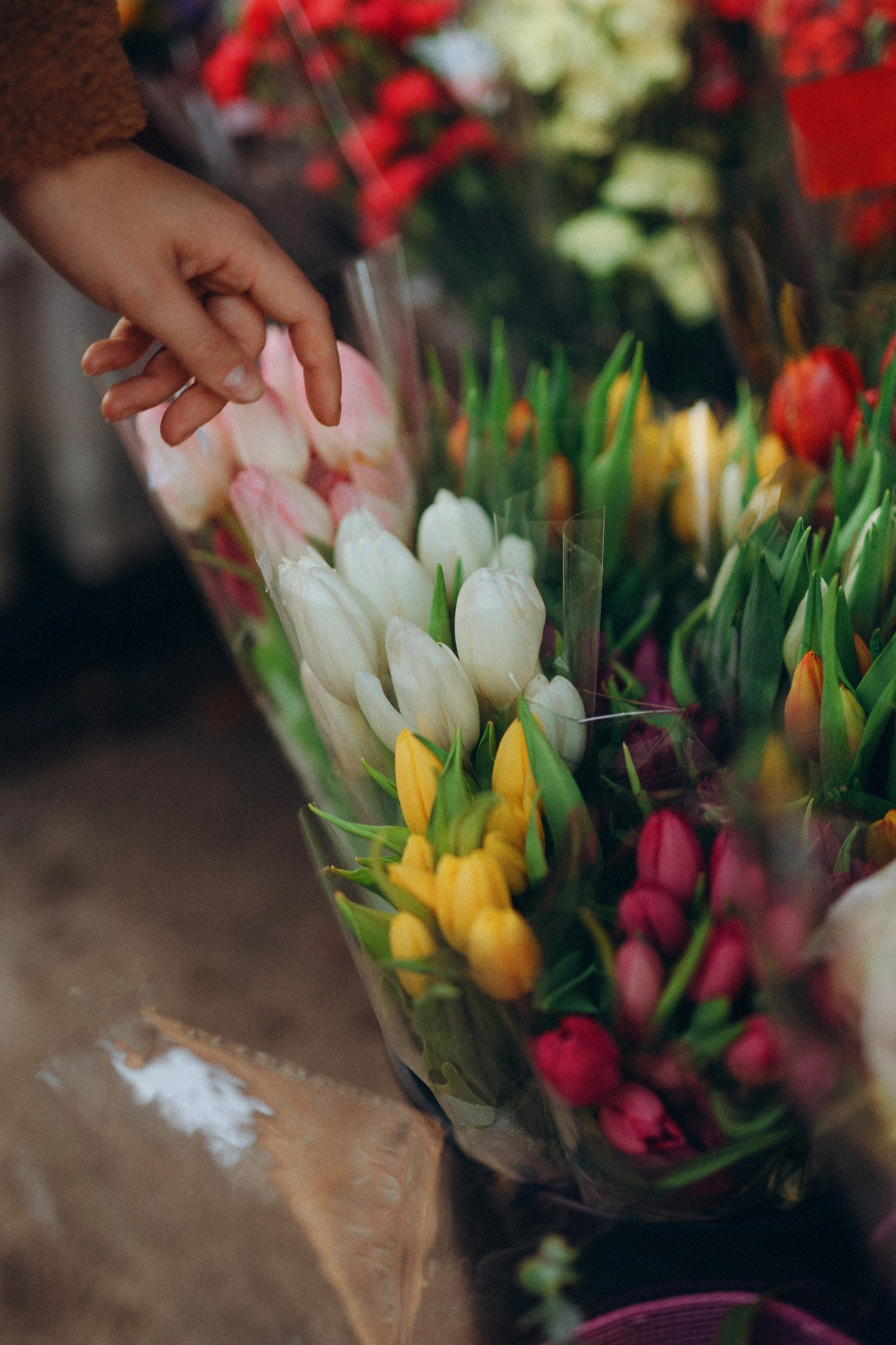 Milana | Autumn in NYC. Sasha Amelie — Lifestyle Photographer NYC