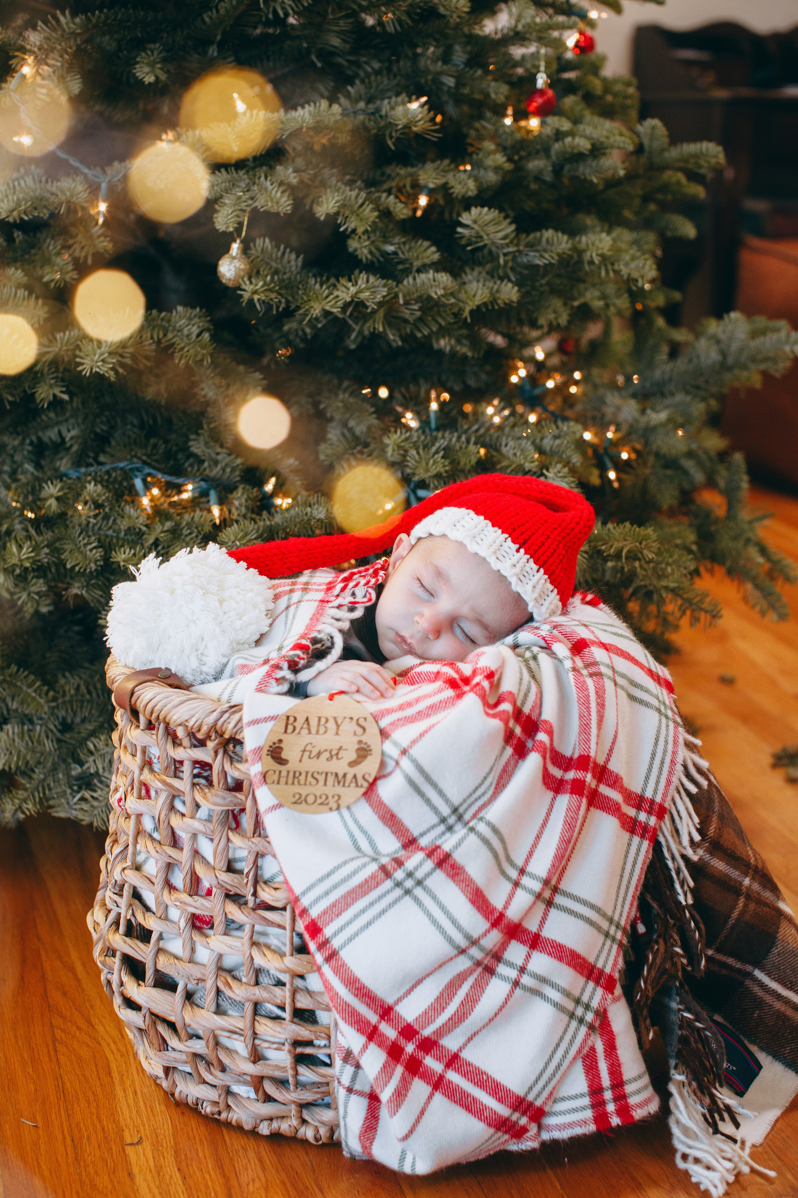 Older newborns. Marina Pravda Photography San Francisco Bay Area