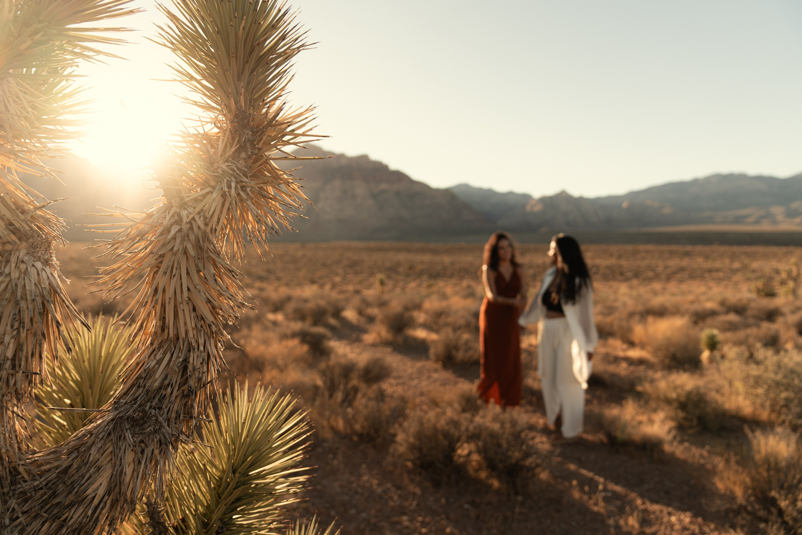 Liz&Fatima. Wedding & elopement photographer Viktoriya Kravtsov. Las Vegas