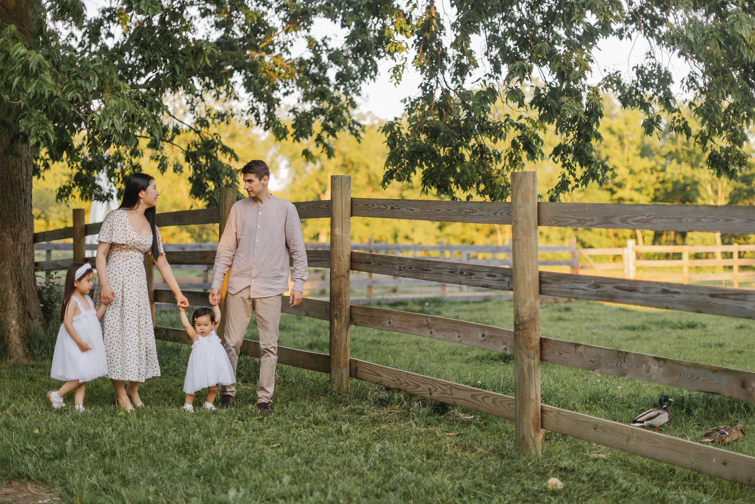 05.25.26 Family Photoshoot. Wedding family event photographer in Chicago Nick Yushevich