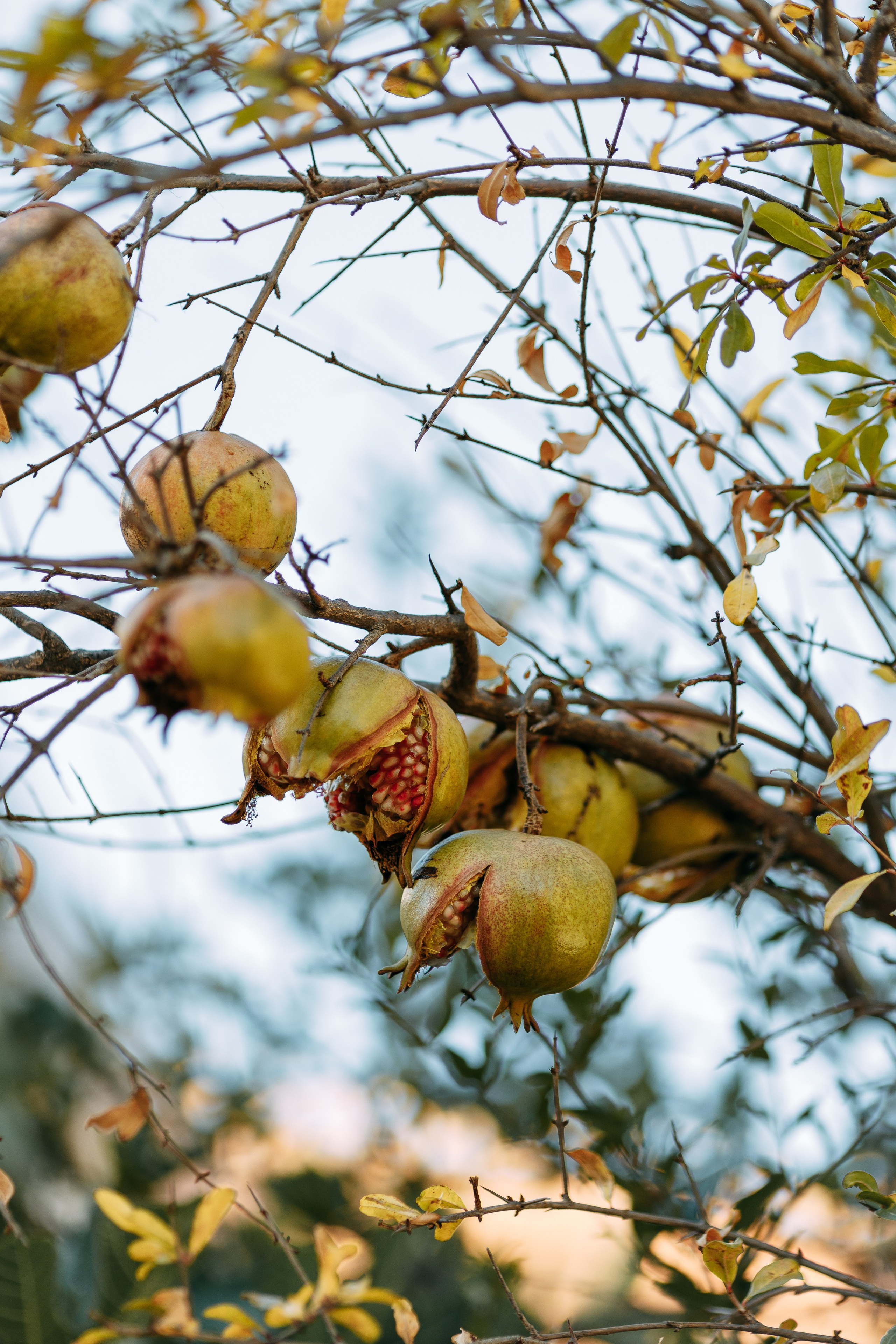 Love Kroatien. Professionele fotografin in Münsingen Olesia Wegele