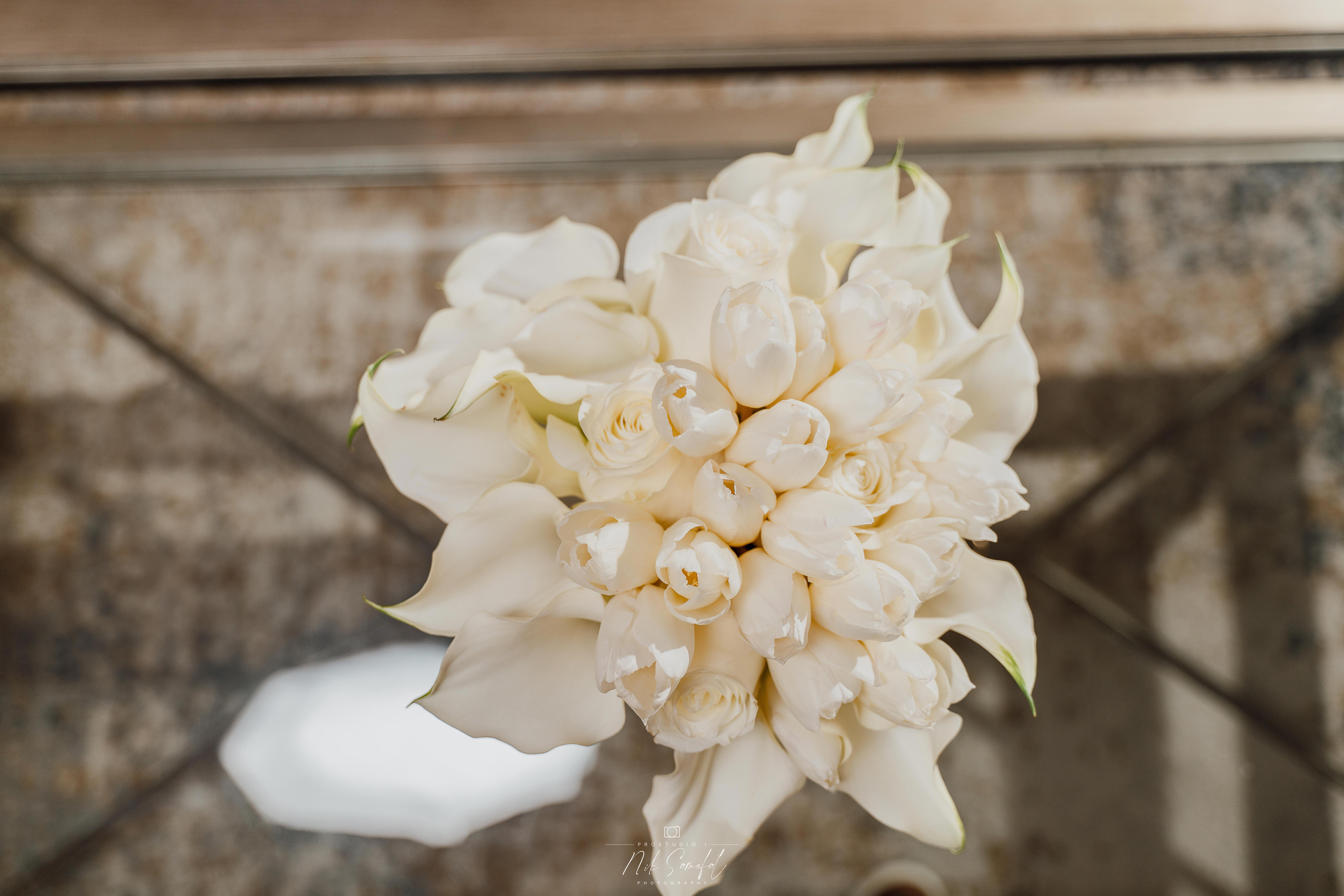 Photo & Video in Miami, Sunny Isles, Hallandale, Aventure. Photo & Video Production Studio #1