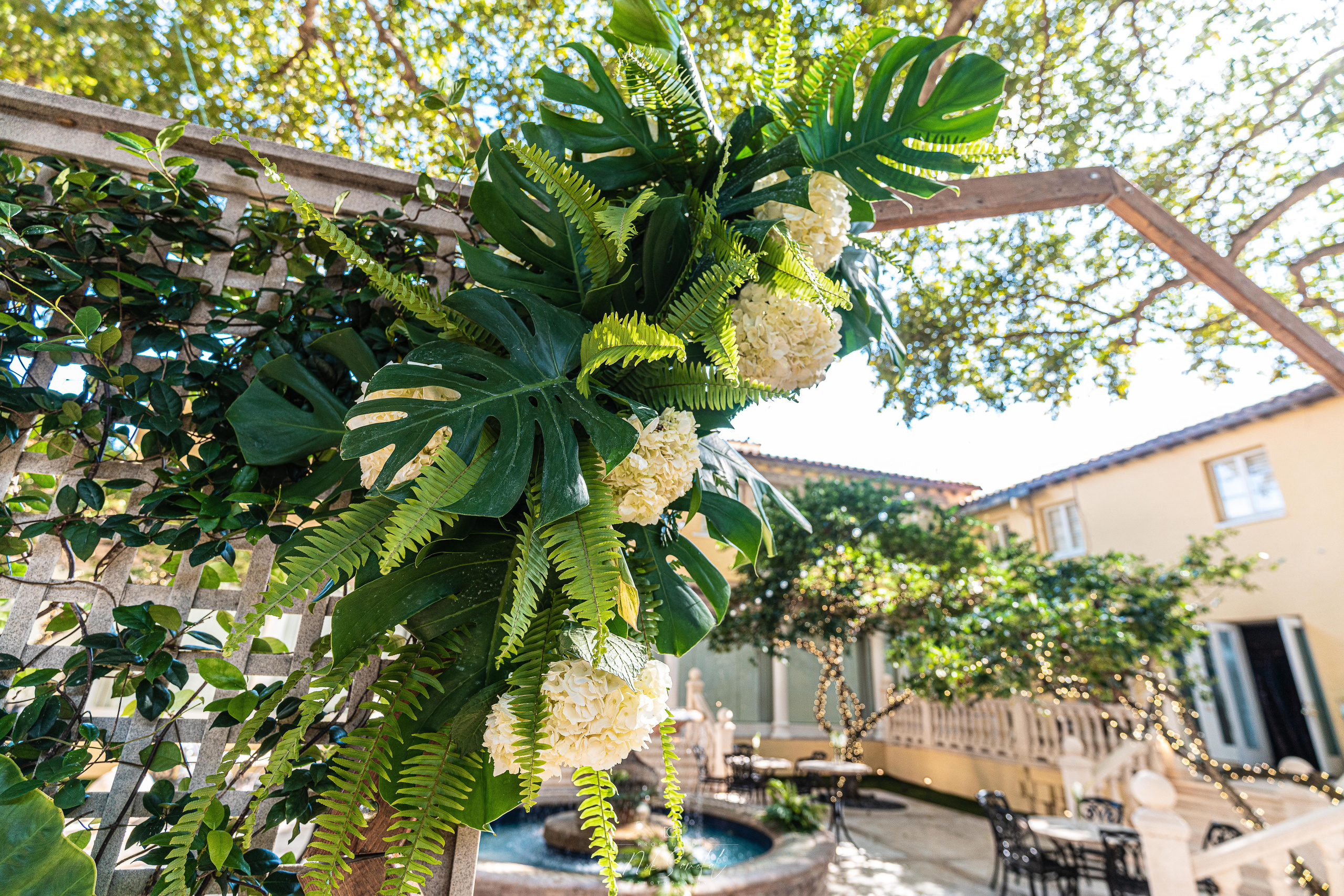 Photo & Video in Miami, Sunny Isles, Hallandale, Aventure. Photo & Video Production Studio #1