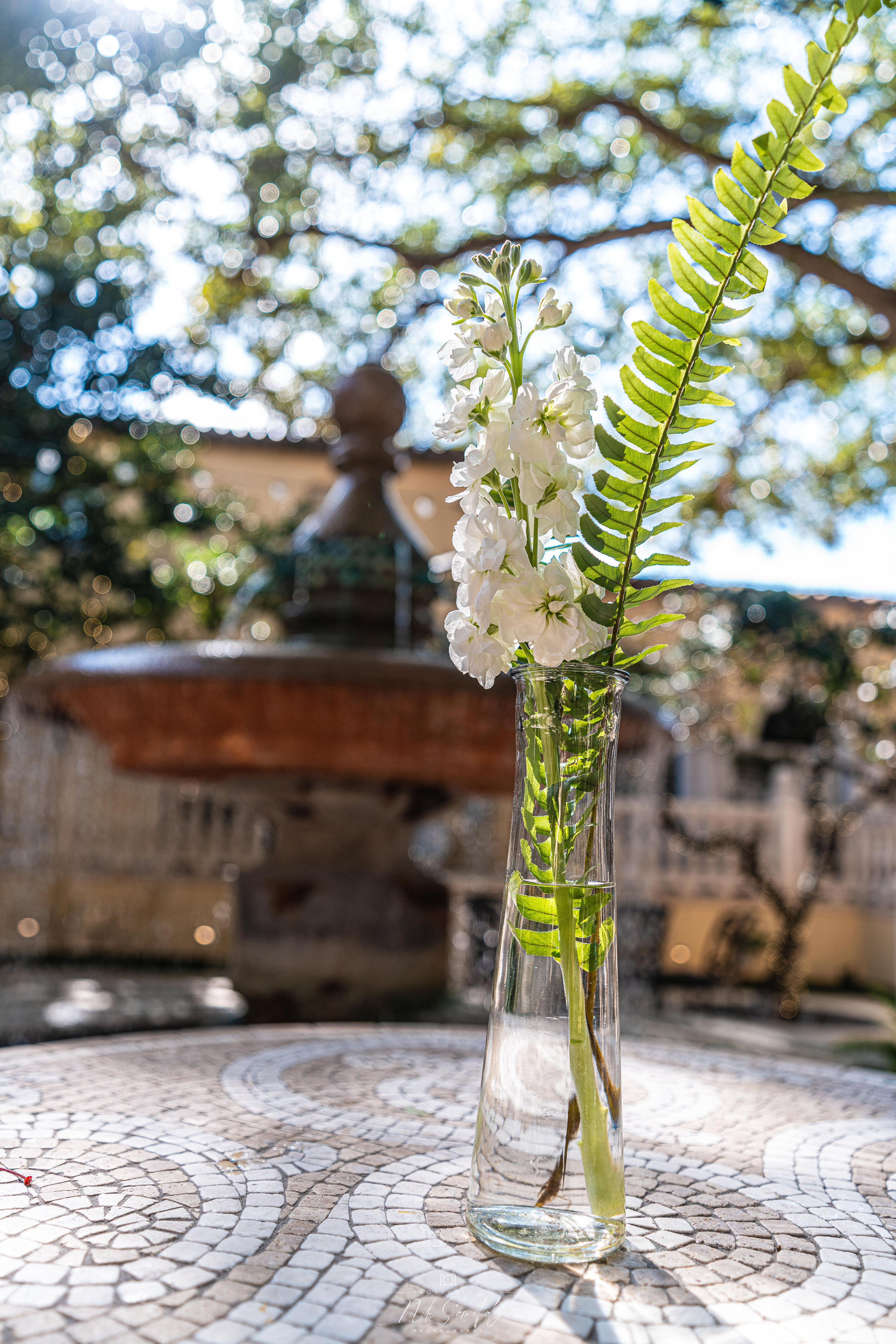 Photo & Video in Miami, Sunny Isles, Hallandale, Aventure. Photo & Video Production Studio #1