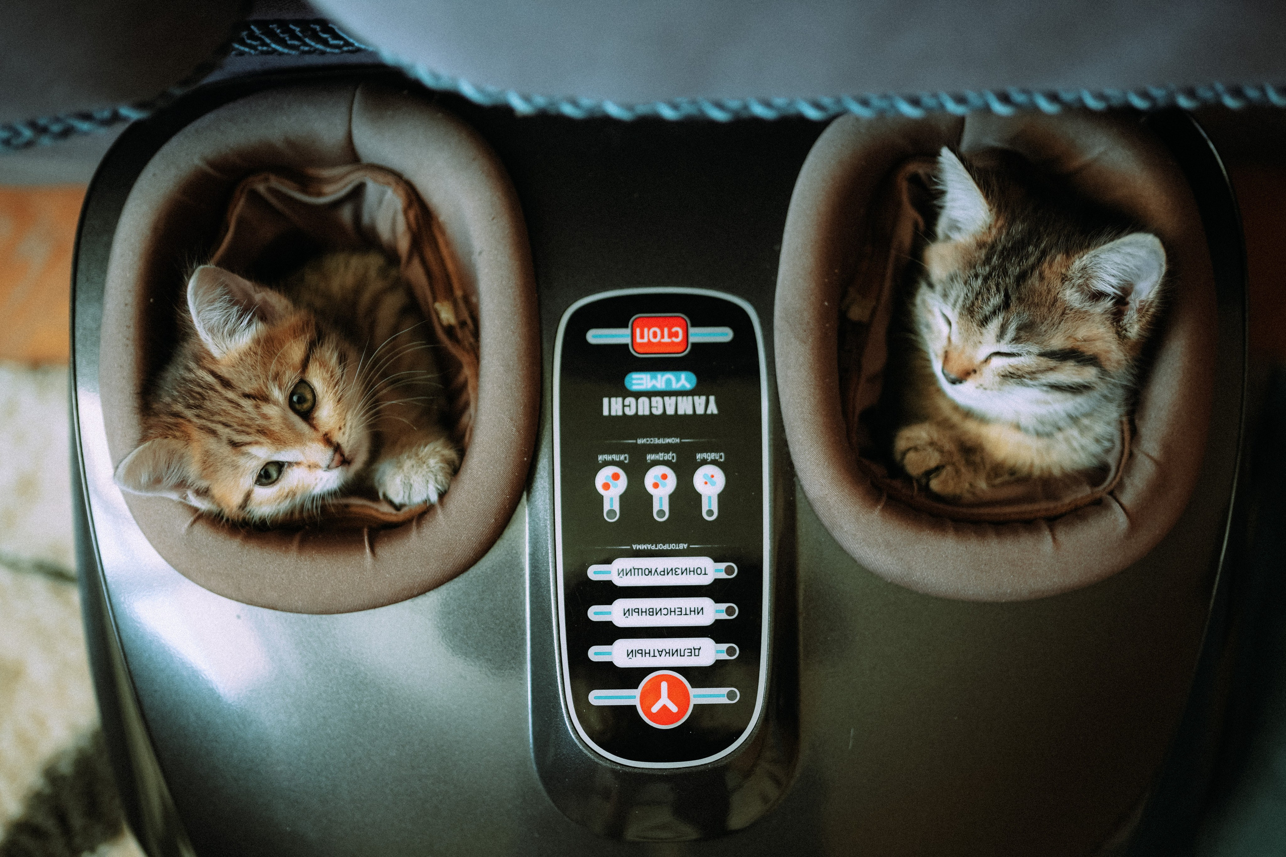 Кот шпедингера. Стрит-фотография, полная абсурда, идиотизма и красоты