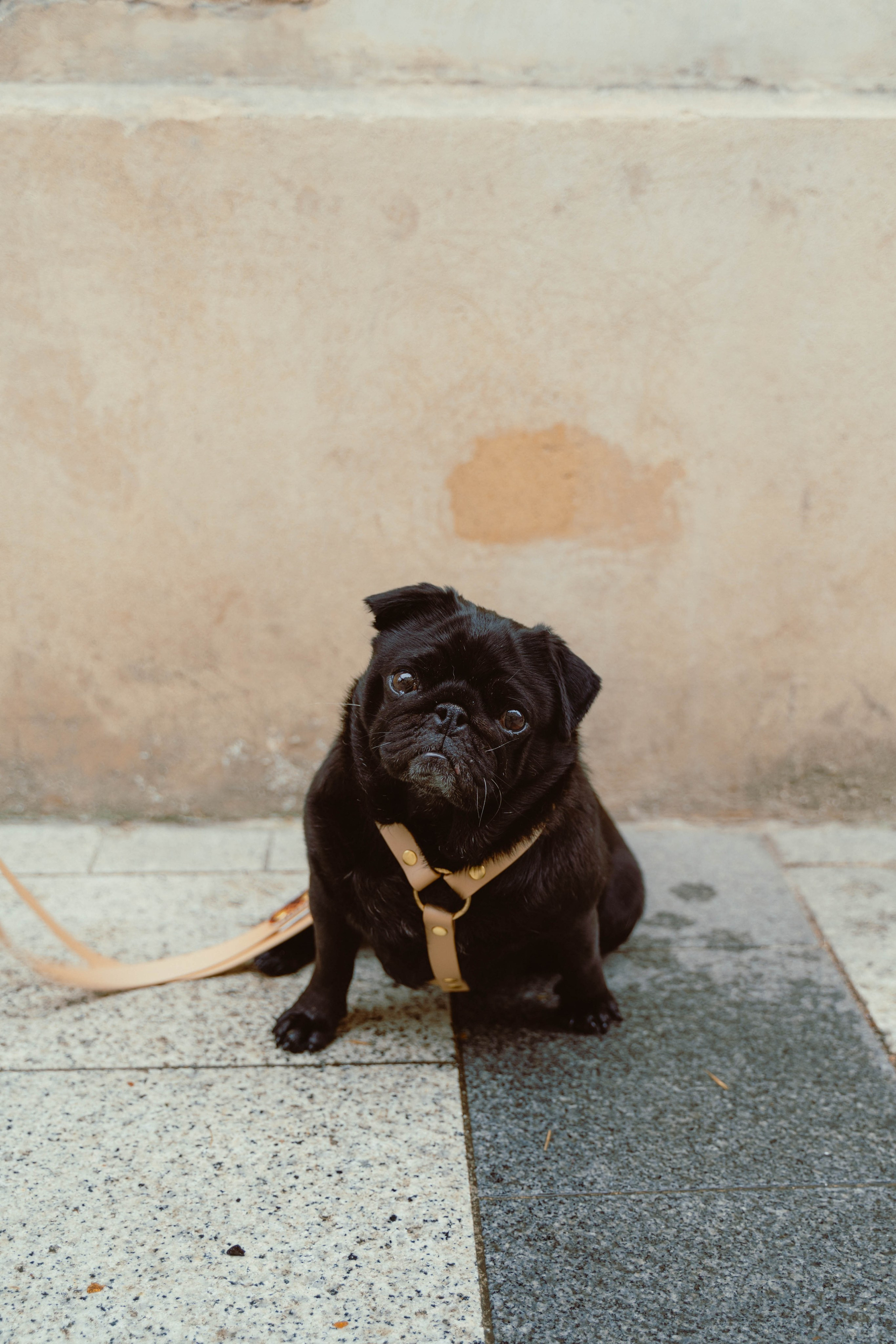 Rosa Lopez. Weeding photographer / event / portrait