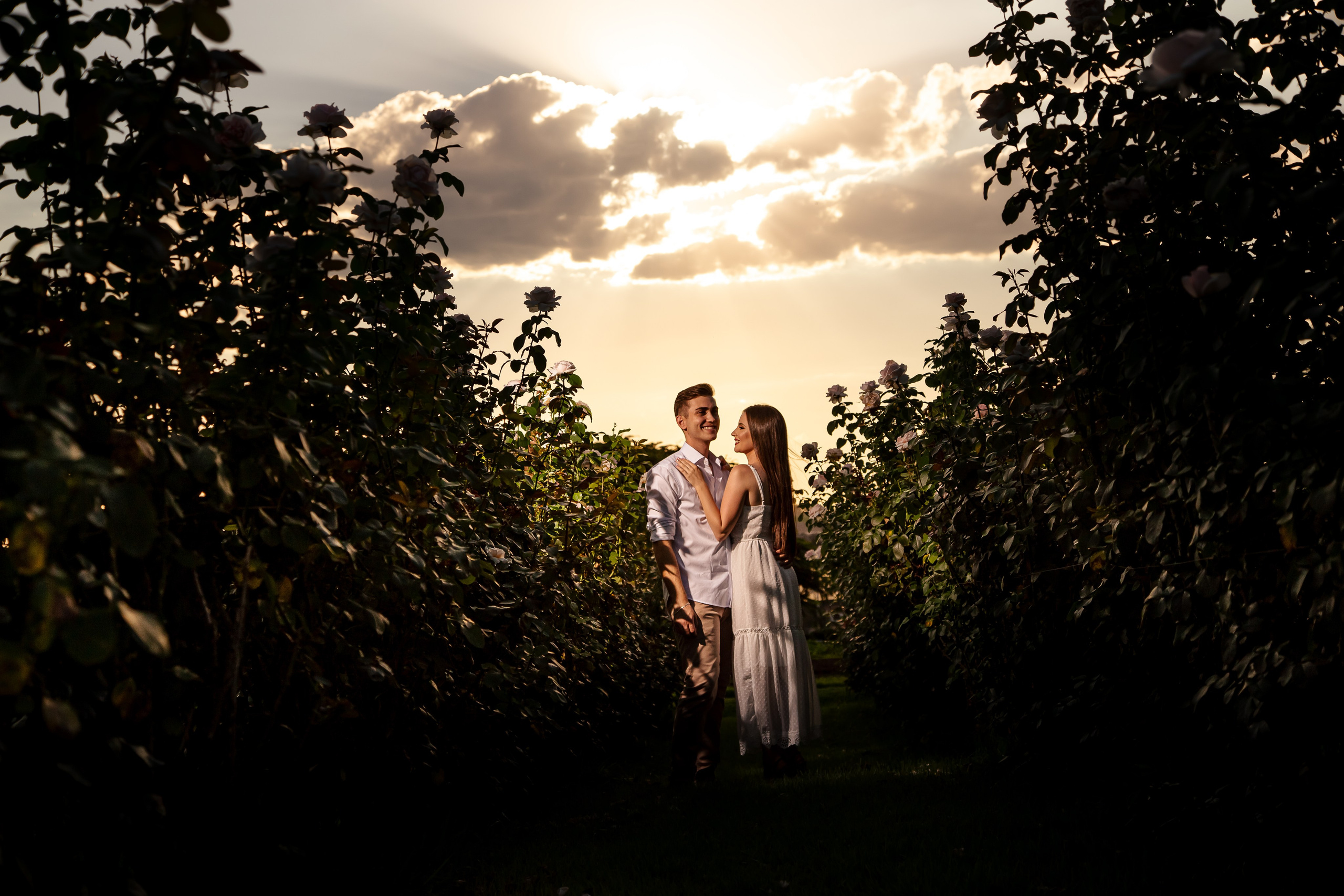 Ensaio Holambra. Tela cheia