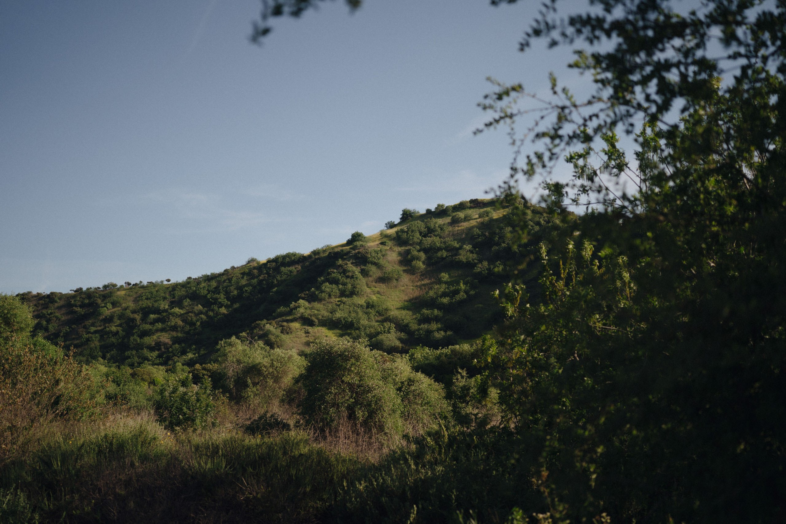 JDJ. Orange County Wedding Photographer & Videographer | Candid & Timeless Wedding Photo + Video | Italiantsev