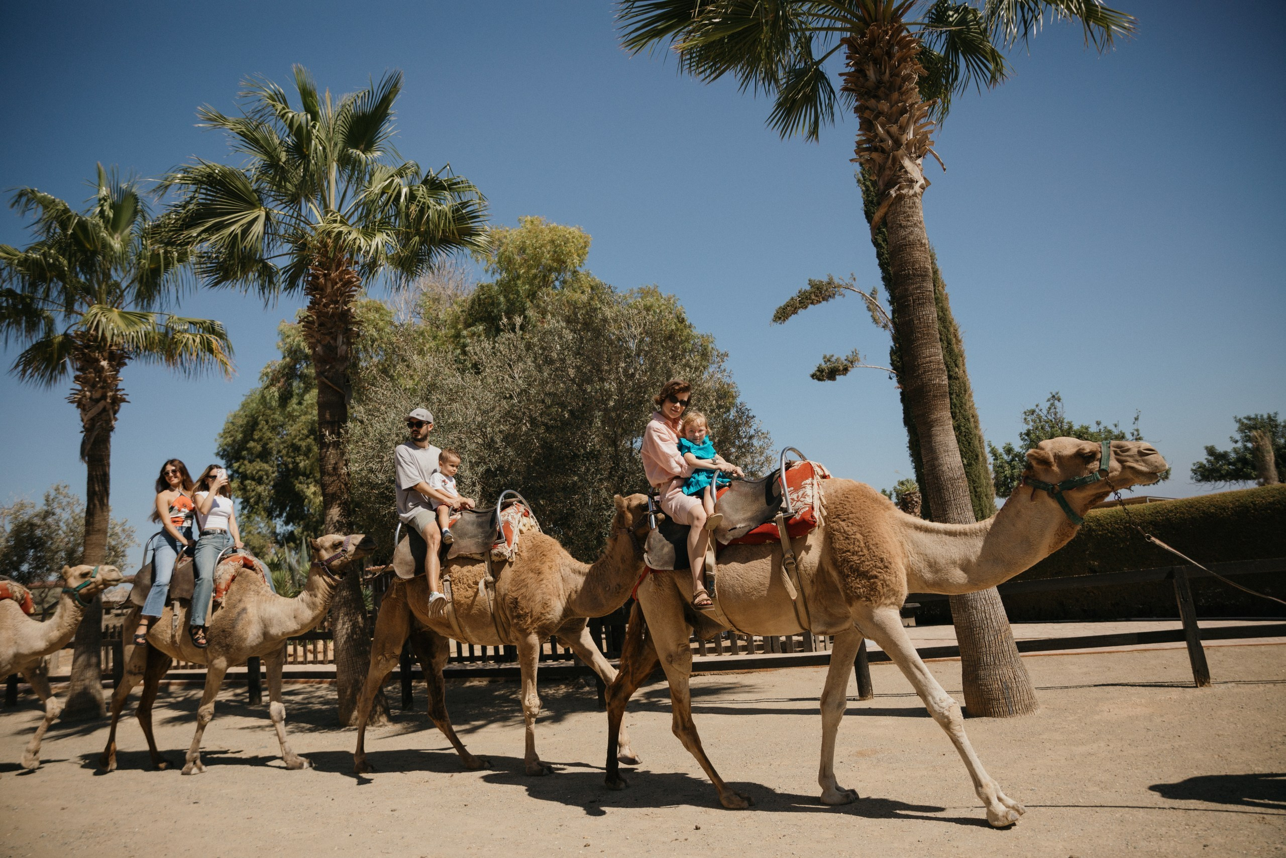 Joyful Moments in Camel park: Olya and Ada’s Day of Fun and Adventure, sliding and riding camels. Photographer in Barcelona capturing unique stories | Kate Chumak