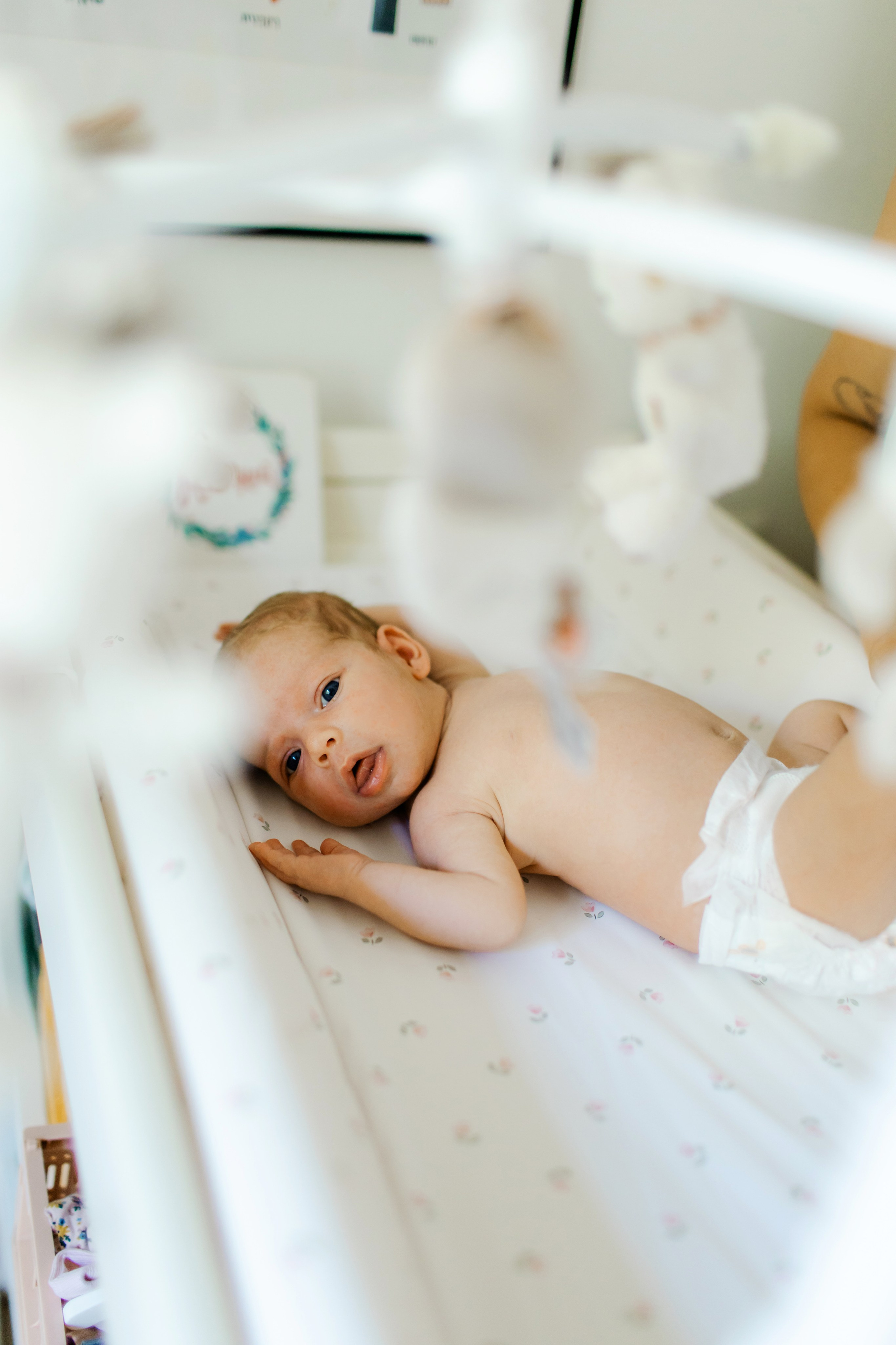 Ella 2 month. Family photographer in Israel
