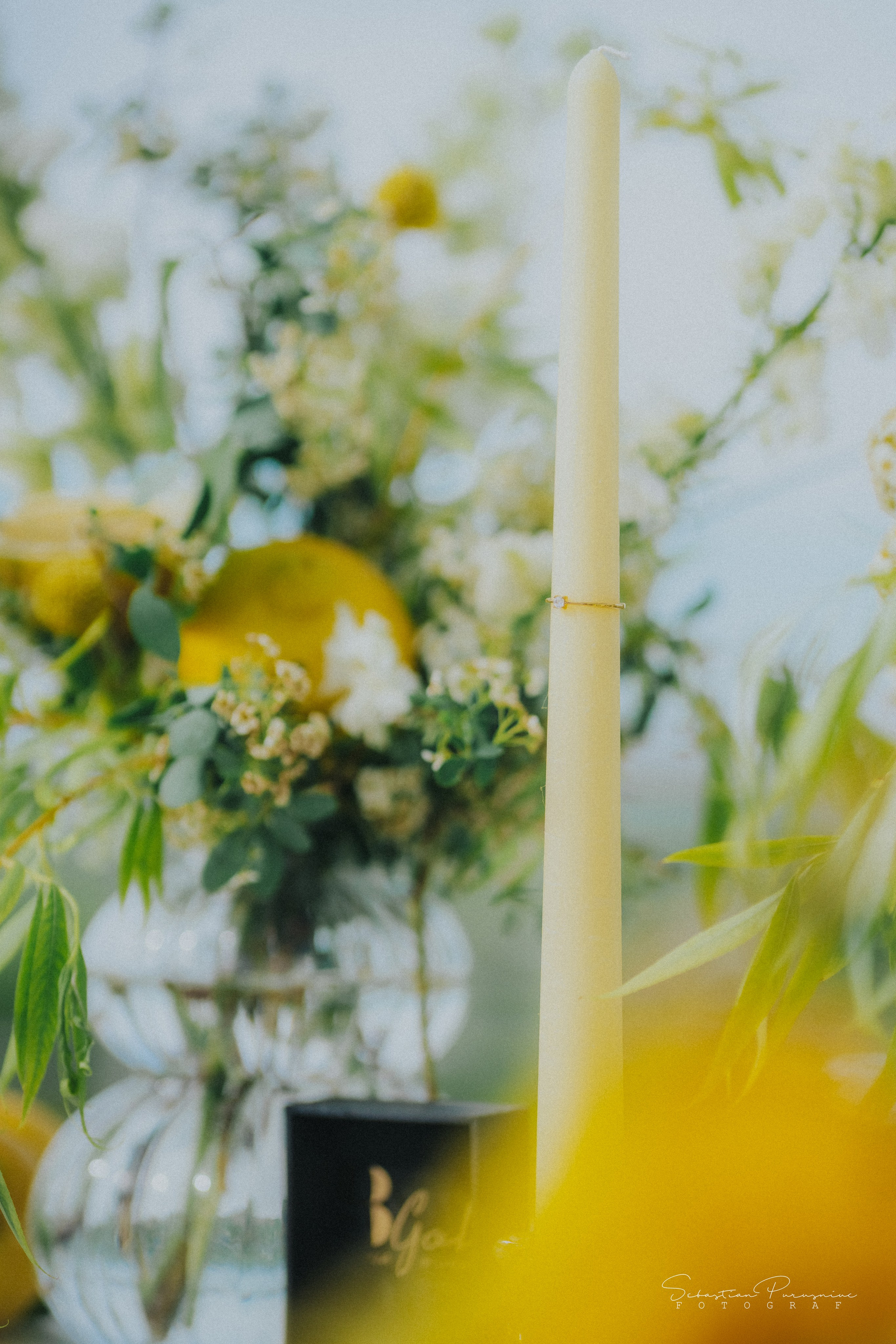 Love & Lemons. Sebastian Purusniuc Fotograf - Iasi