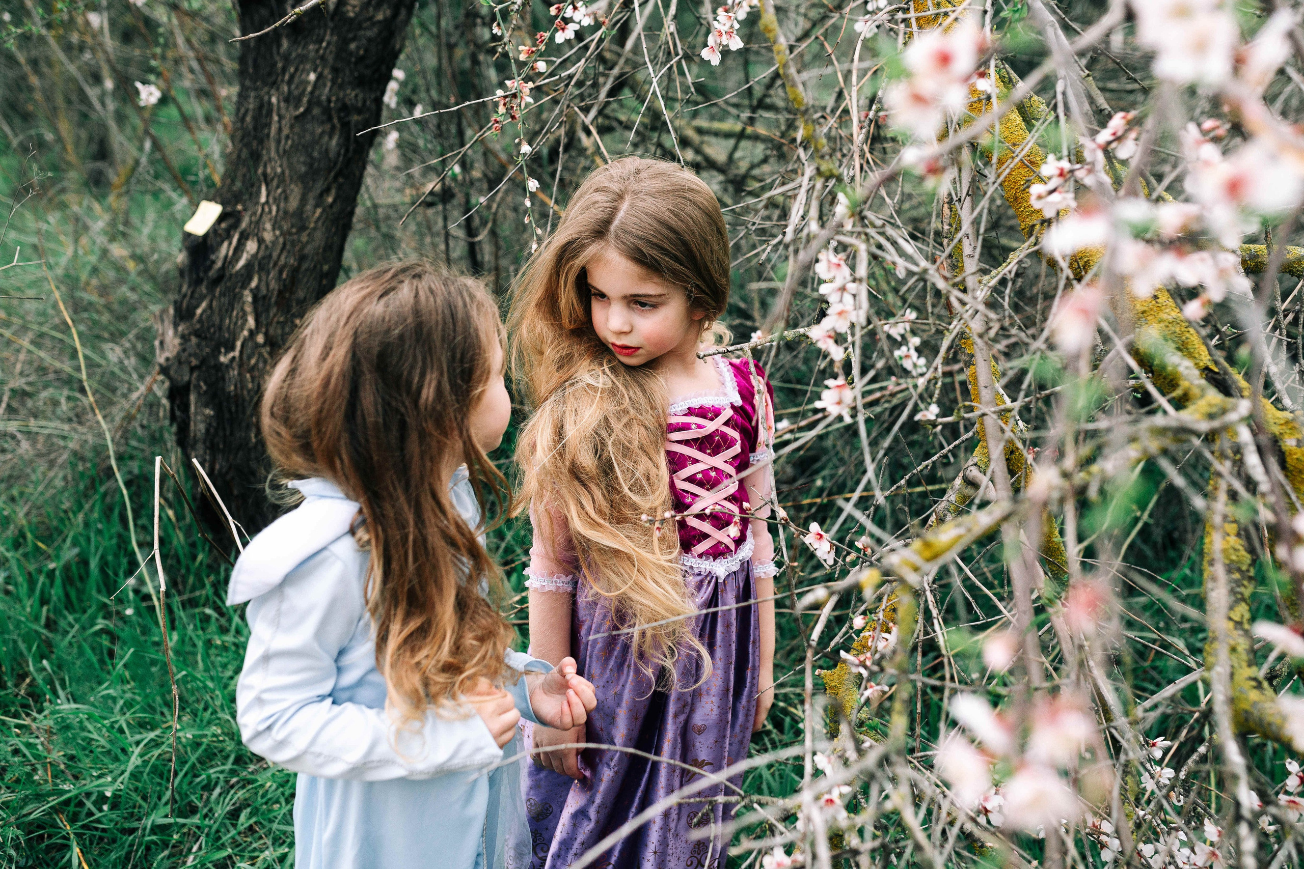 END OF WINTER. Https://shi-photo.com/