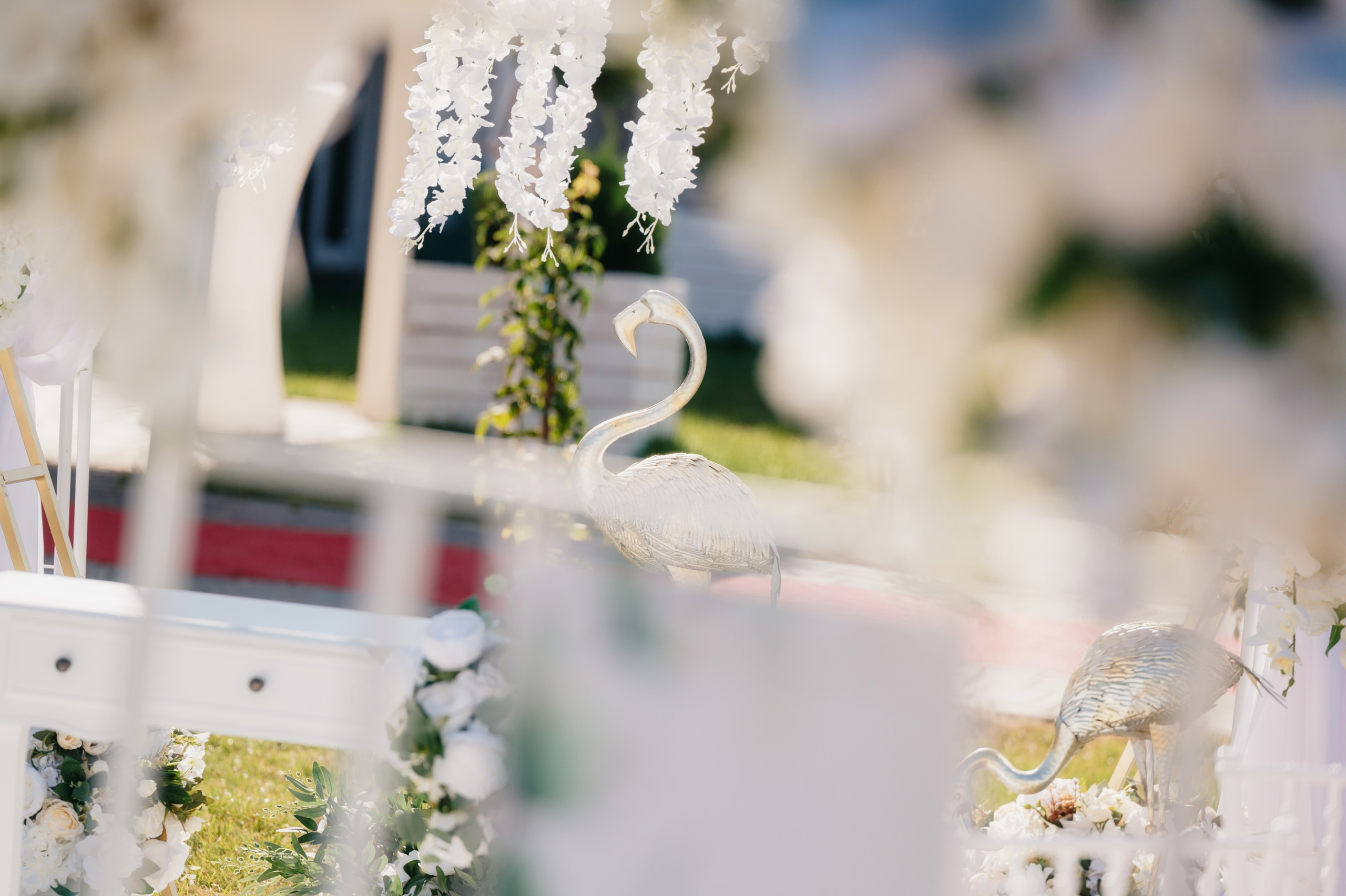 CUNUNIE Adelina si Alexandru. Laurentiu Stefan StoryTeller