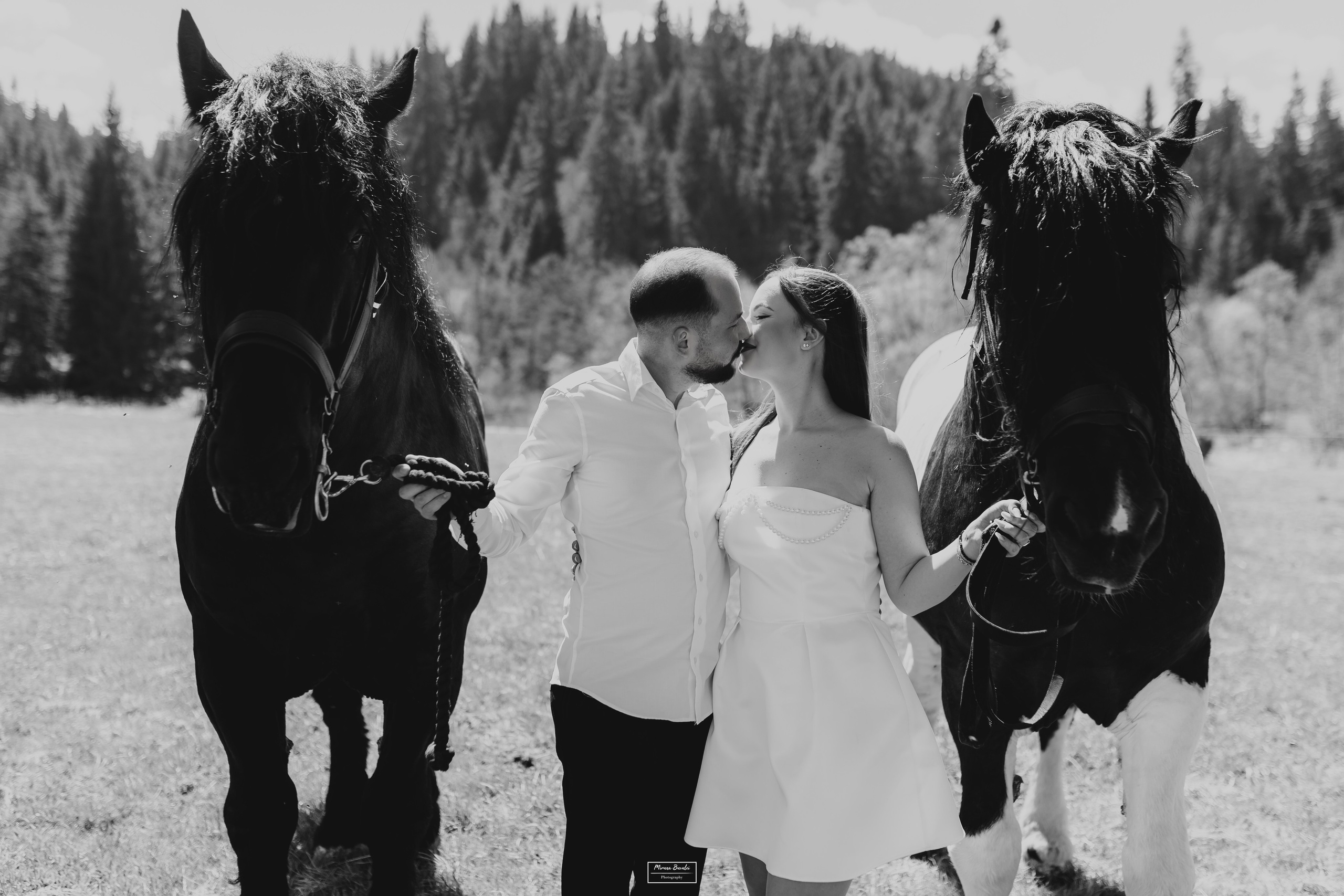 Save The Date — Ioana & Cătălin. Pagină Principală