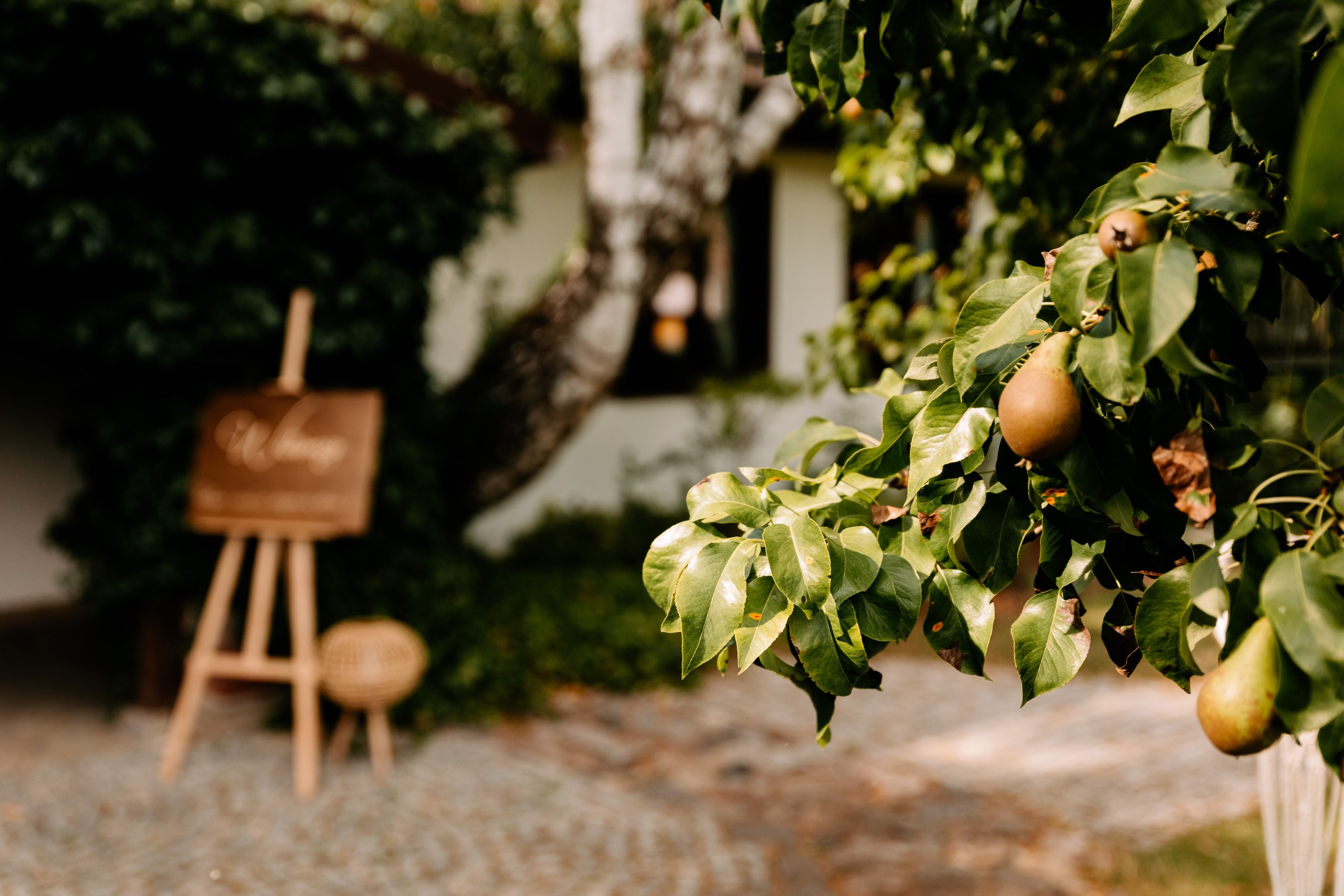 Marta ♡ Piotrek. Fotograf Ślubny Warszawa - Sesje Biznesowe Rodzinne Eventy