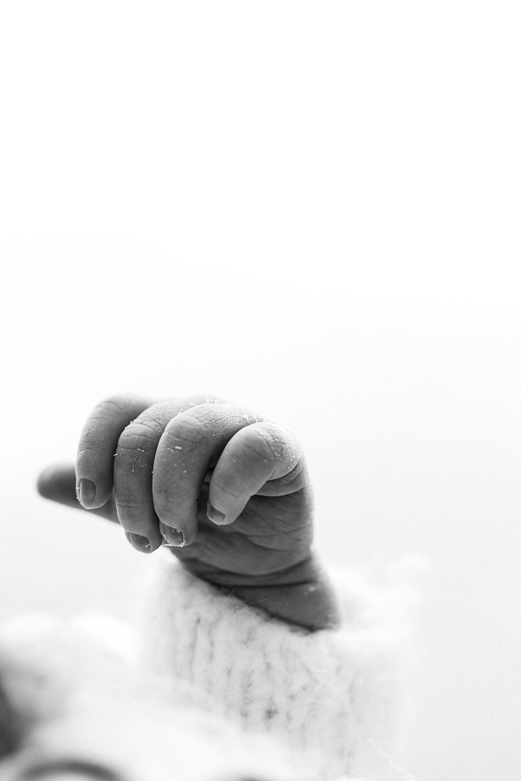 Newborn. Anna Levina Photography