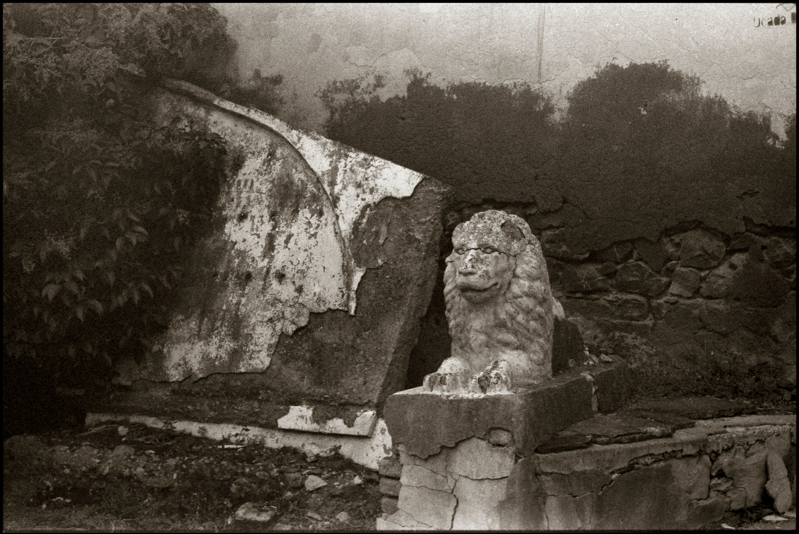 Calmness.  Sheki, 2025