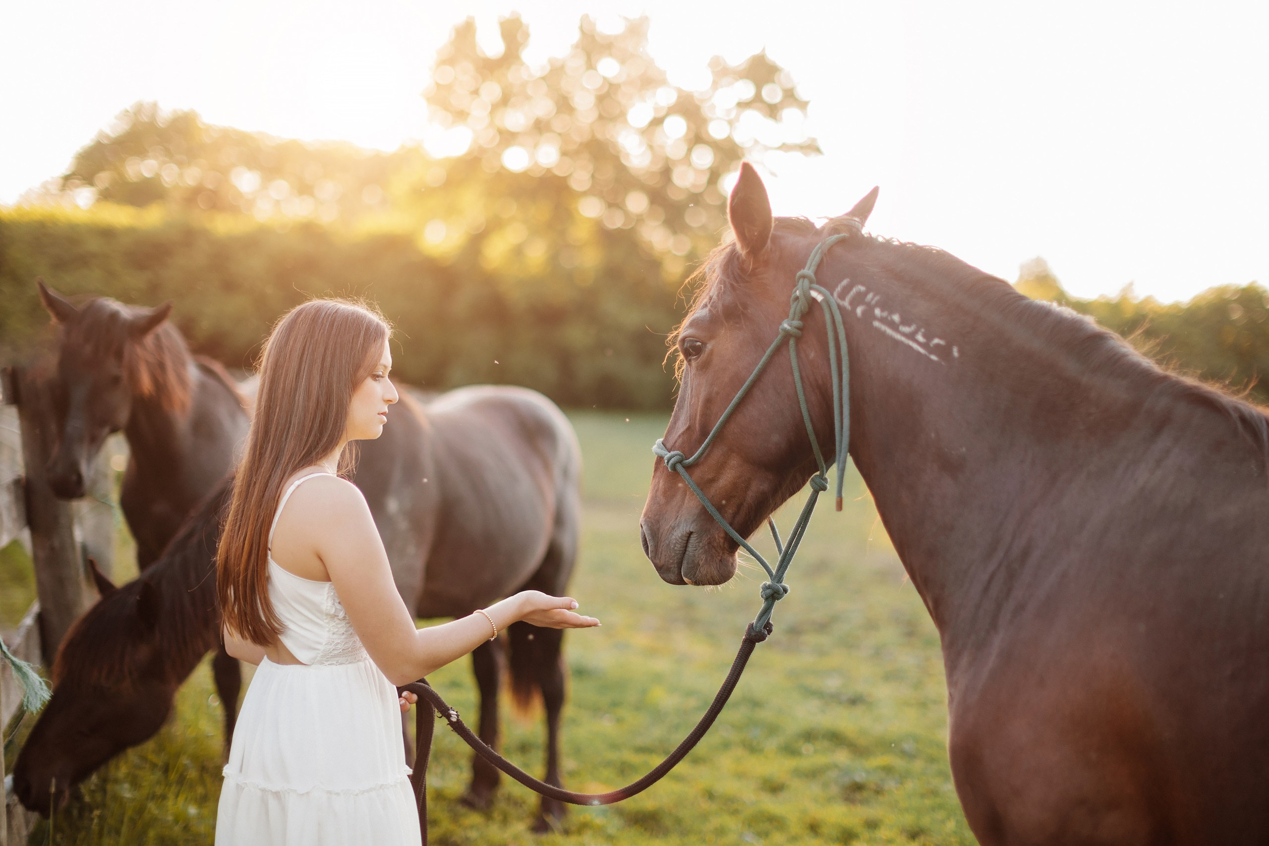 30.05.24 Family Photoshoot. Wedding family event photographer in Chicago Nick Yushevich