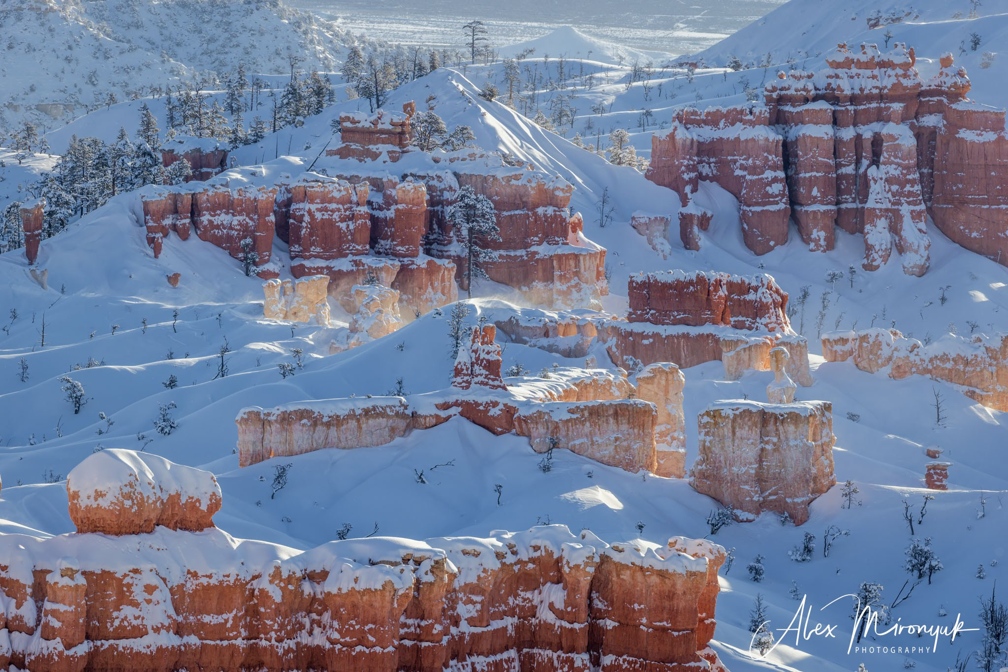 New Year In Utah. Pet, Senior, Landscape, portrait studio, photographer in Miami and Sou