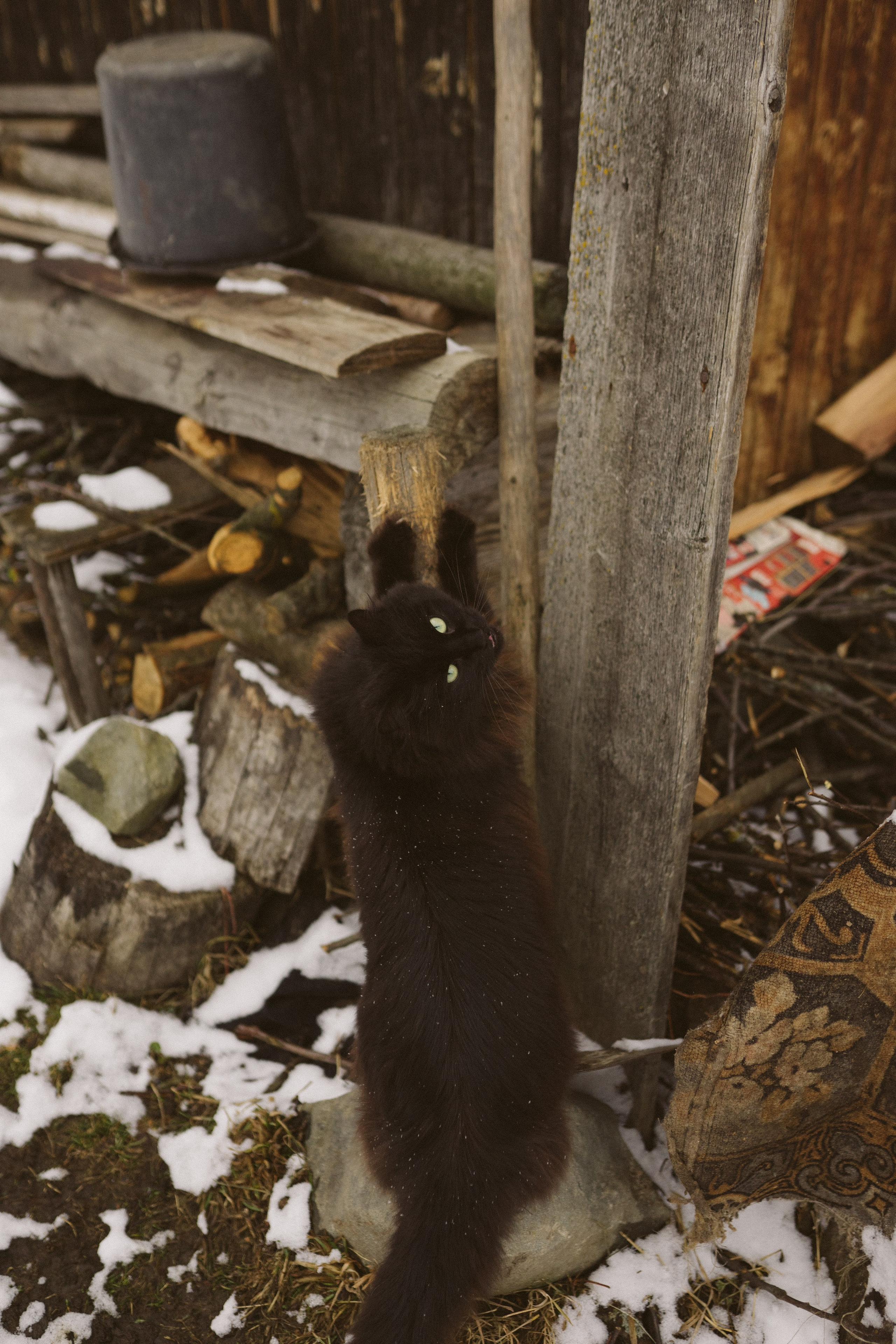 Review Manduca XT: Experiența mea de mamă | Mădălina Beda. Madalina Beda- Artist vizual, fotograf, doula la nastere, consultant babywearing Brasov si in toata tara