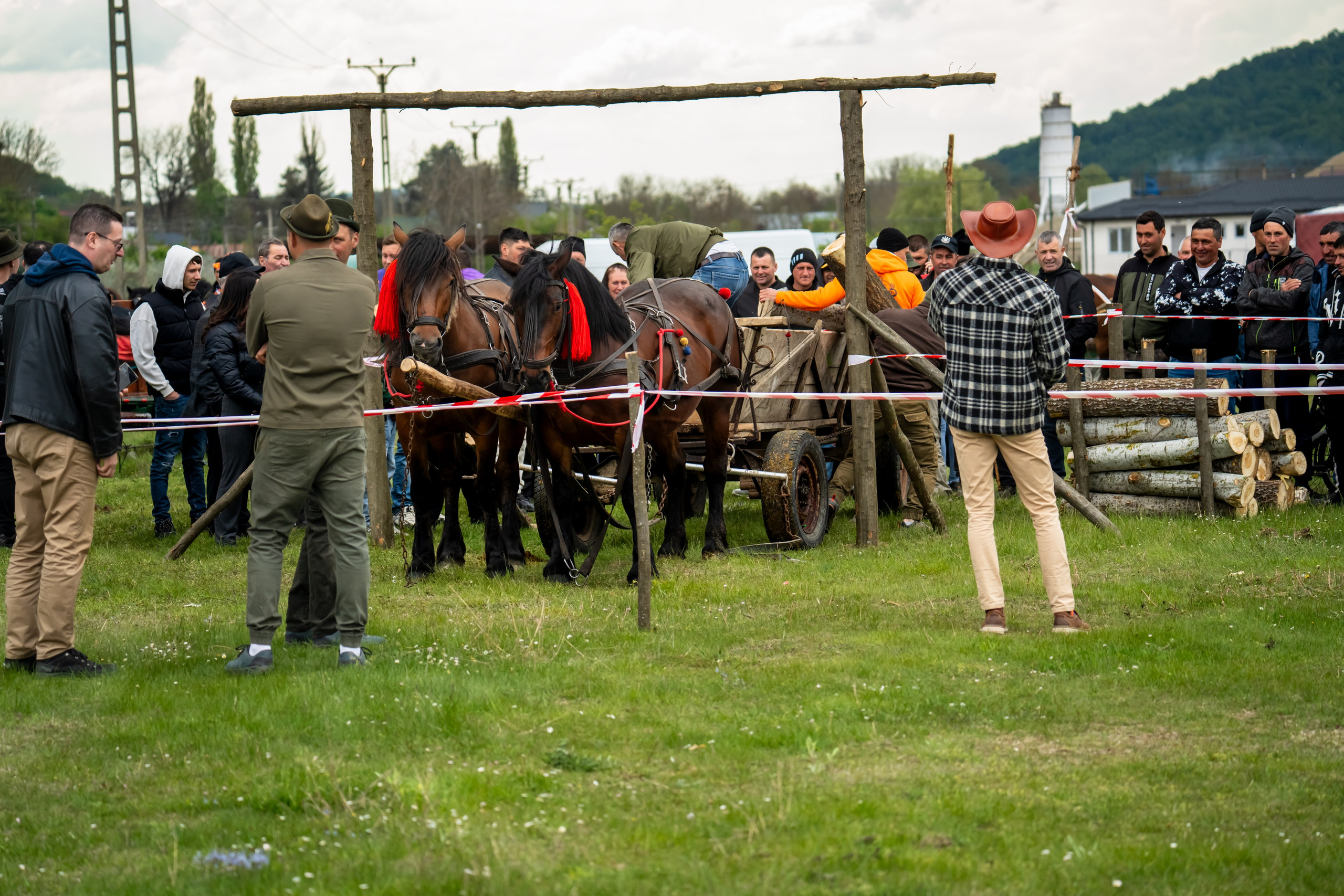 Concurs Ecvestru Vărbilău ediția a 4-a. Mihai Alexandra Events