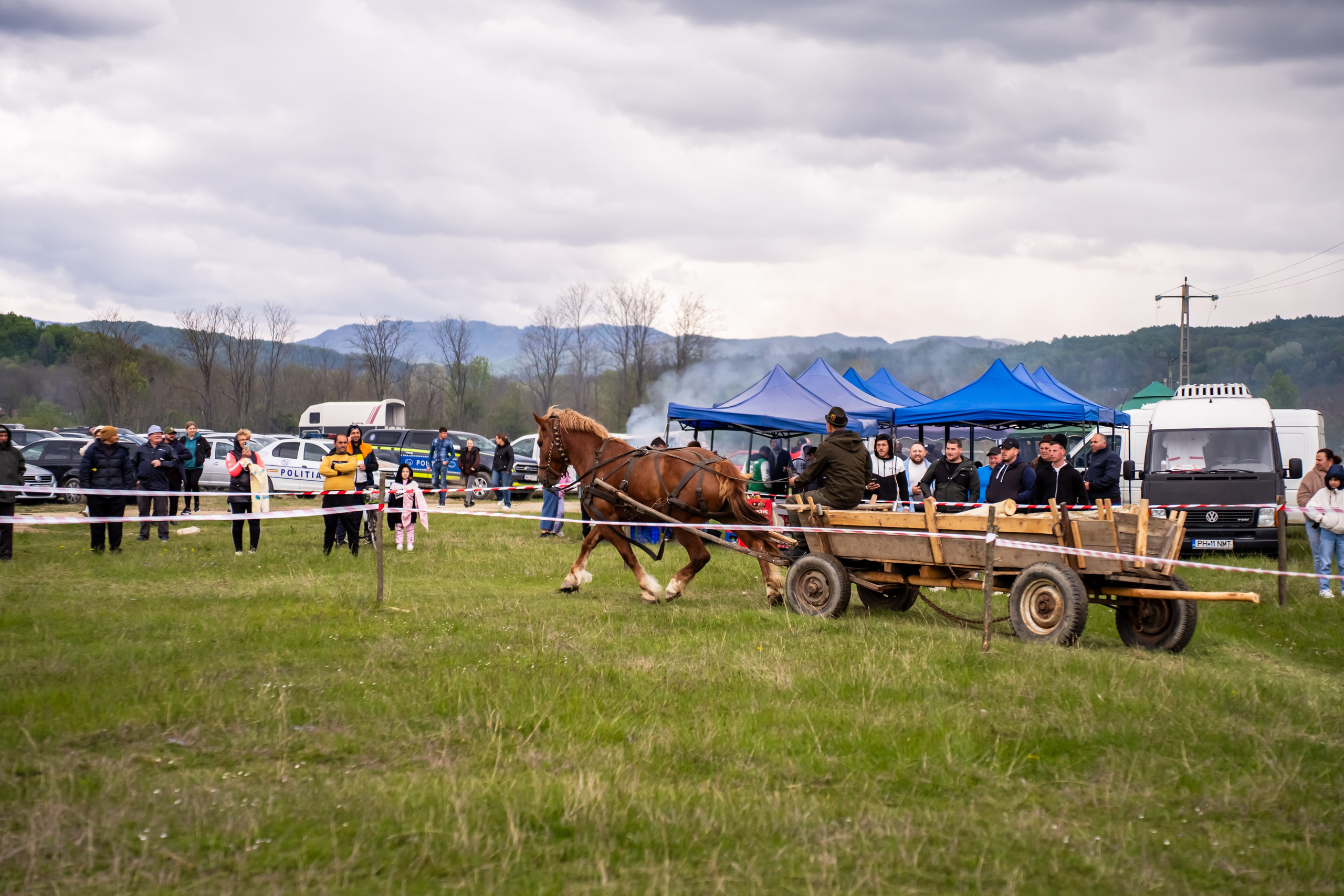 Concurs Ecvestru Vărbilău ediția a 4-a. Mihai Alexandra Events