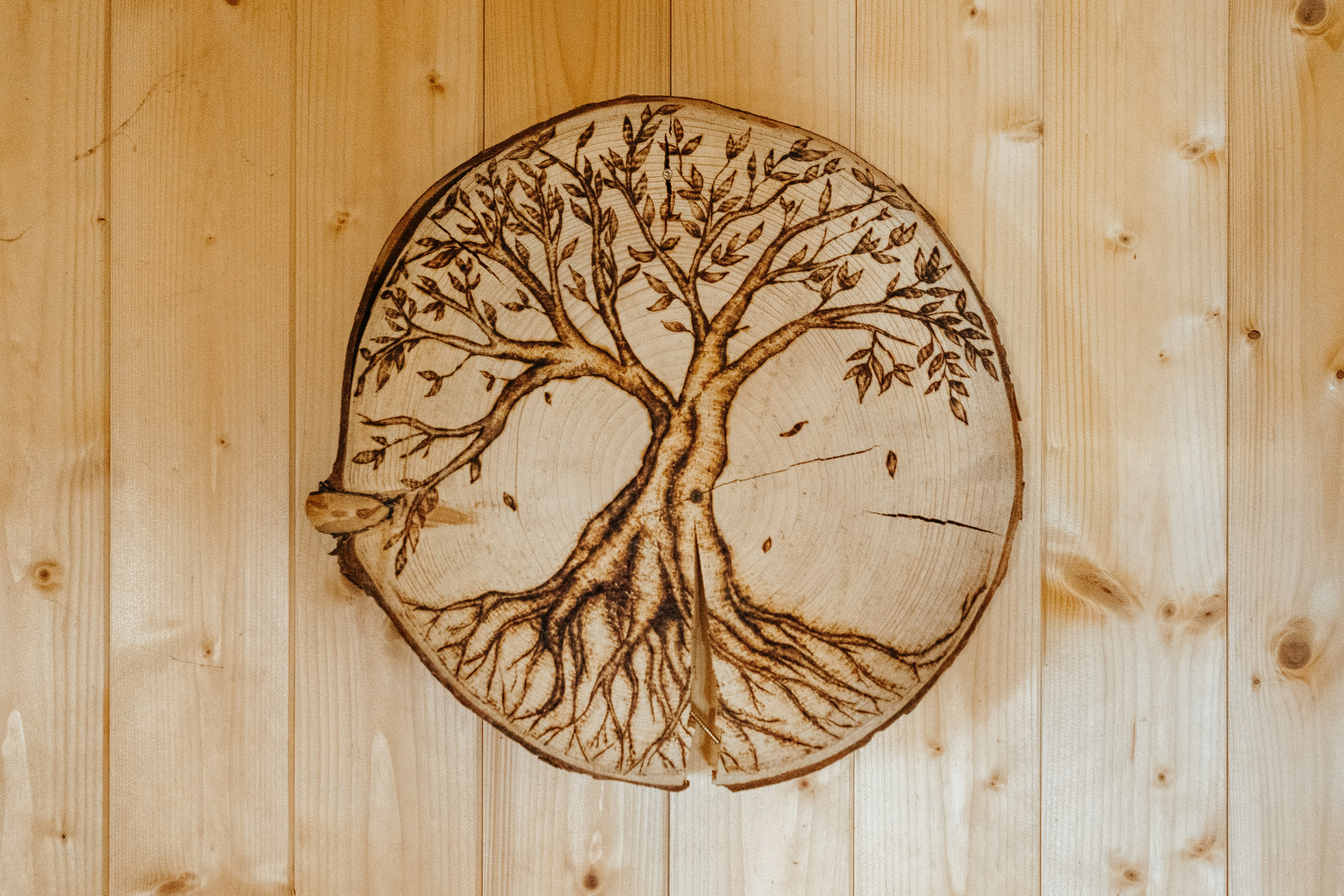 Rustico, VAL RESA, TICINO. Hallo! Ich bin Elena und arbeite als Immobilienfotografin