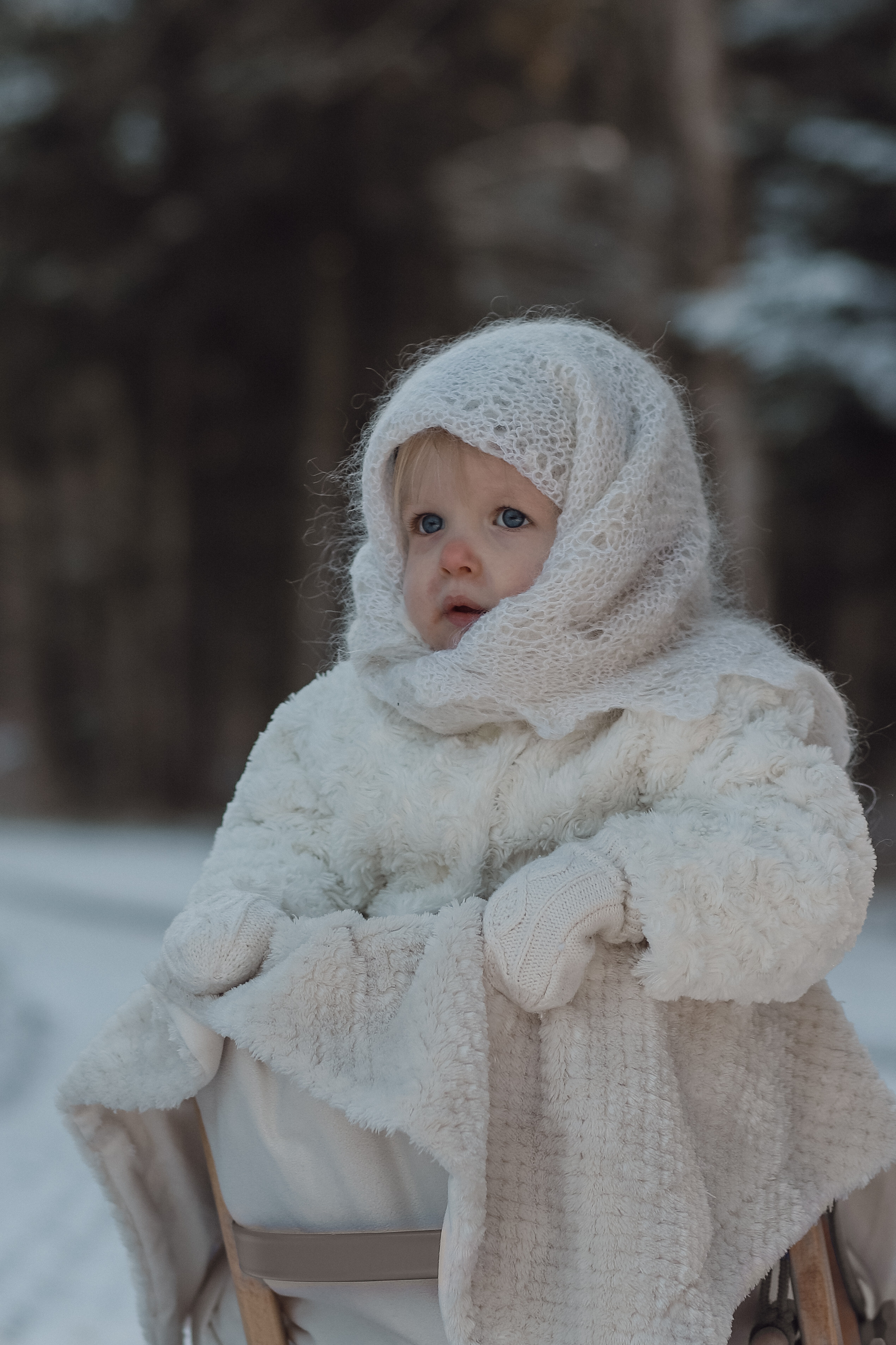 Winter-Shooting. Olena Fritz Fotografie