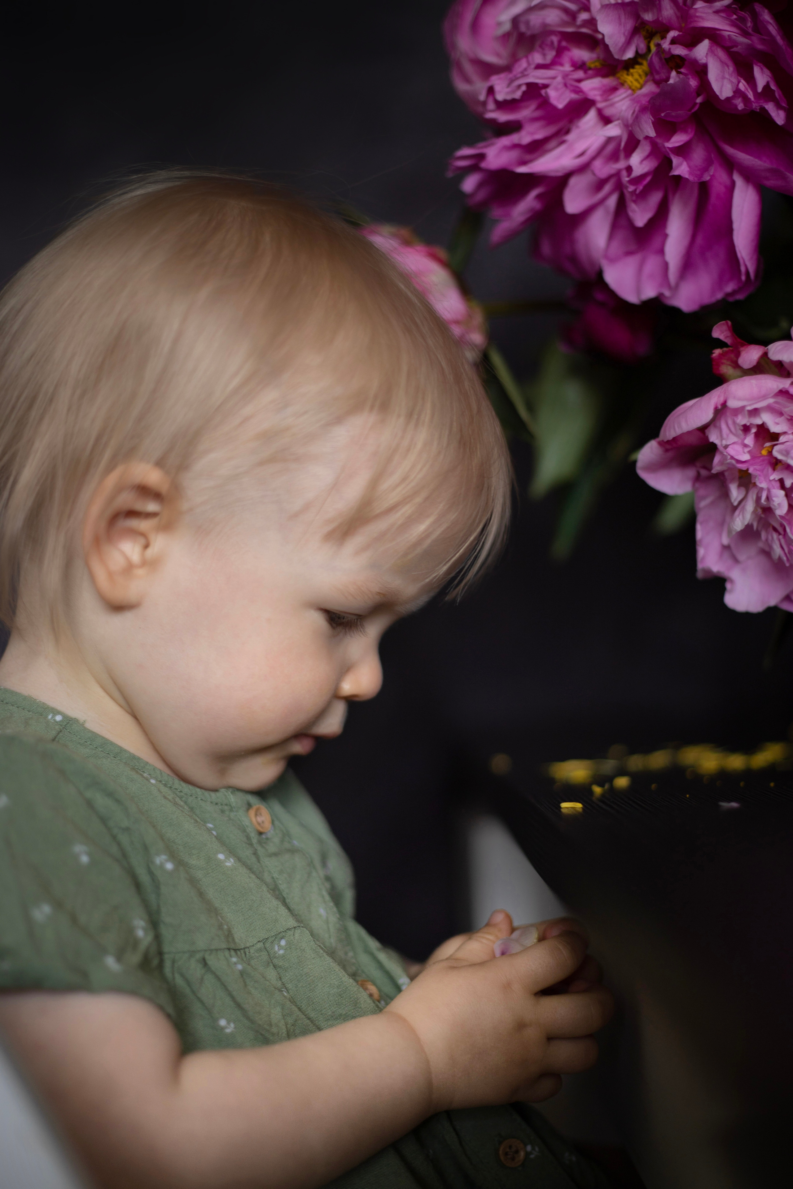 Fotografie zu Hause (mit Blumen. Olena Fritz Fotografie