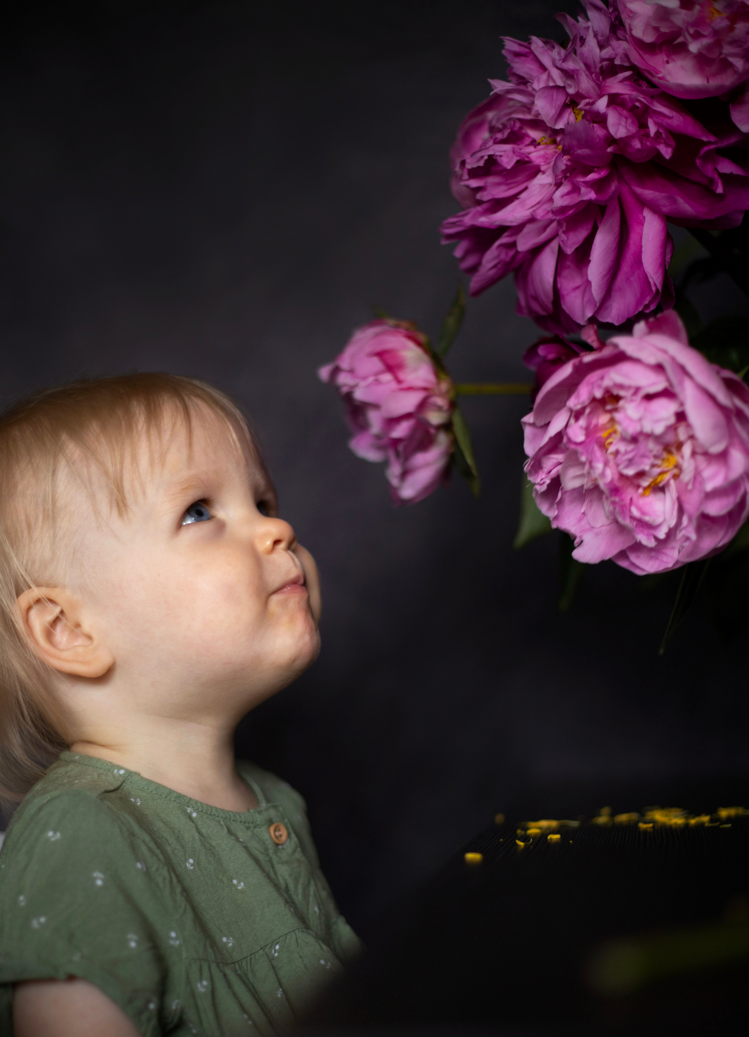 Fotografie zu Hause (mit Blumen. Olena Fritz Fotografie