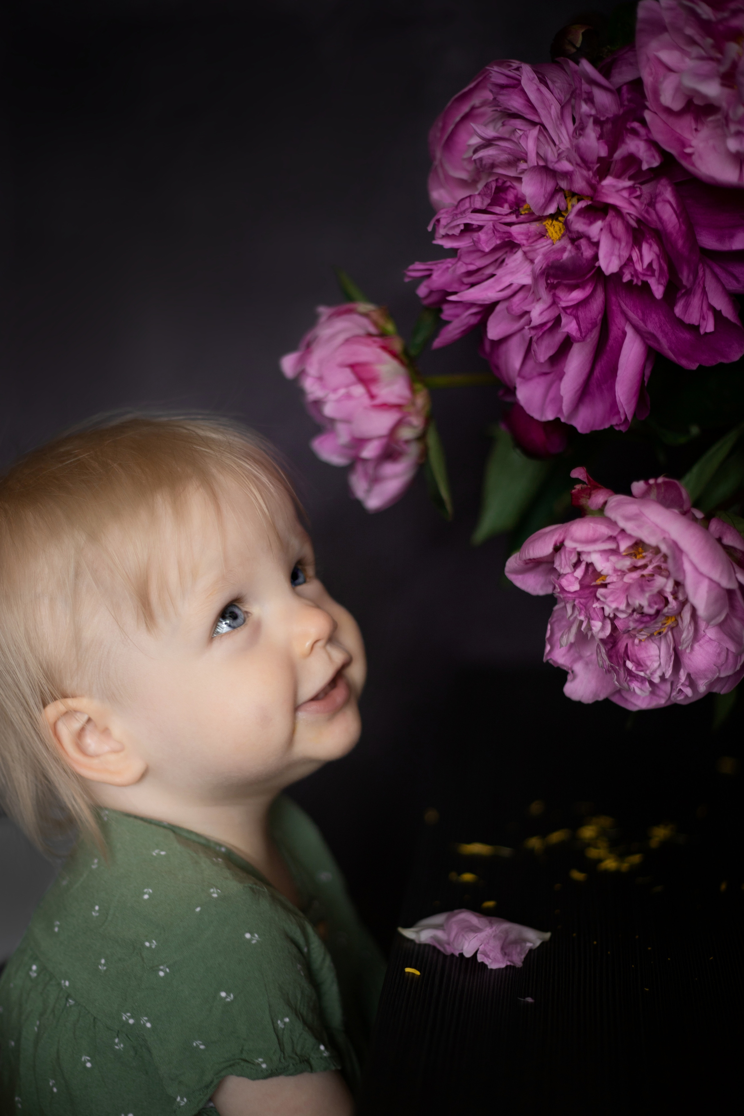 Fotografie zu Hause (mit Blumen. Olena Fritz Fotografie