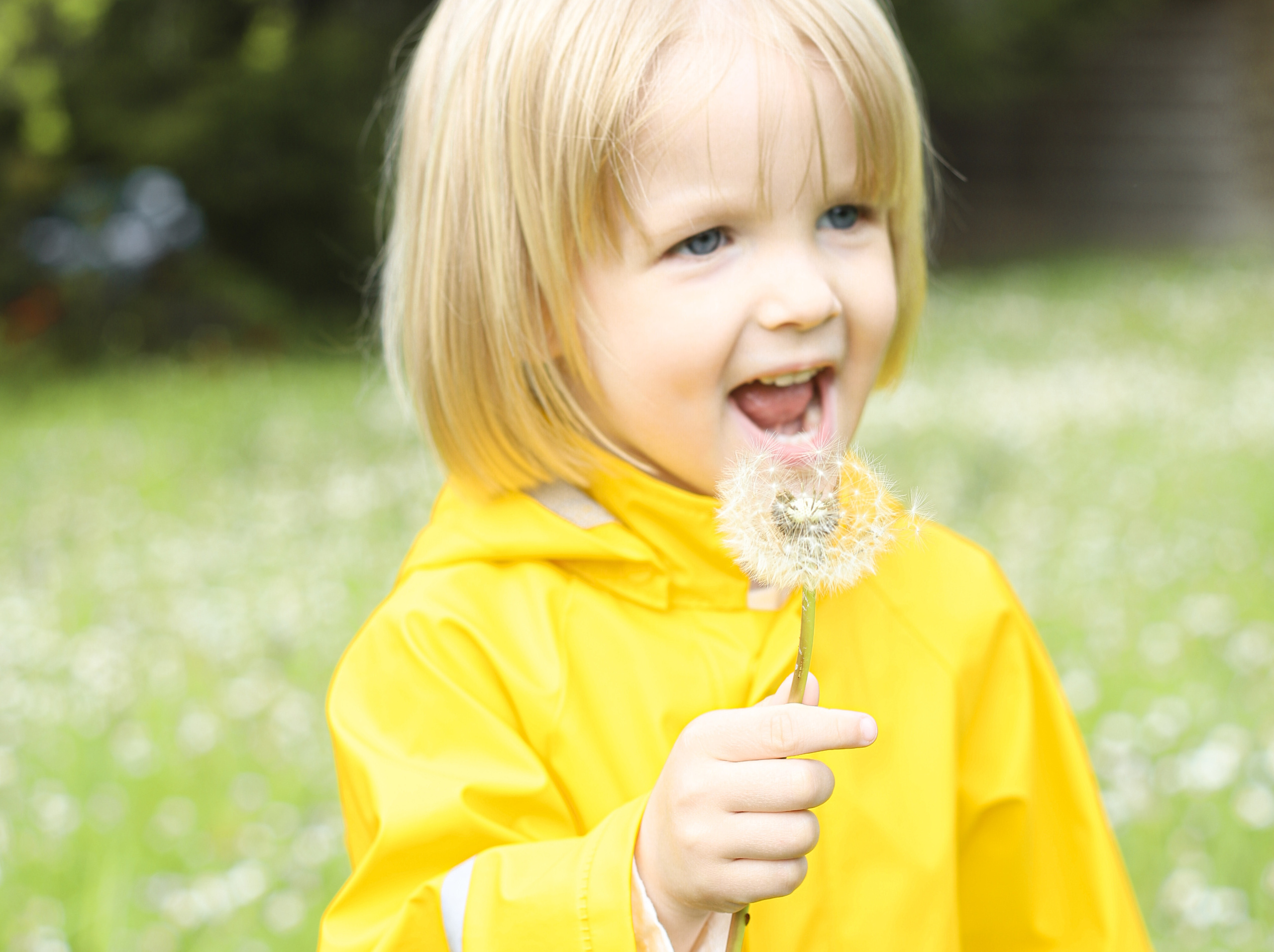 Spaziergang mit Fotograf. Olena Fritz Fotografie