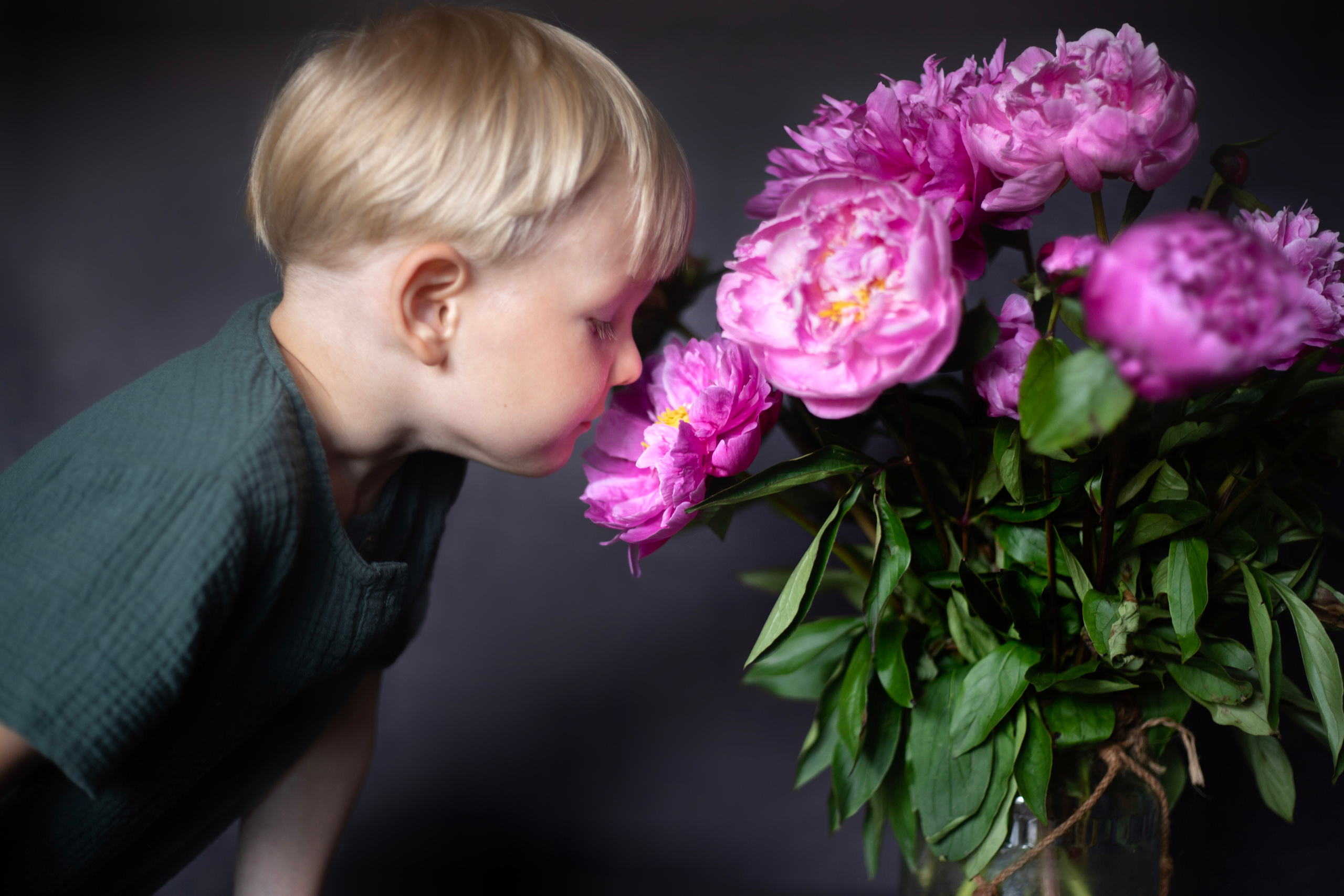 Fotografie zu Hause (mit Blumen. Olena Fritz Fotografie