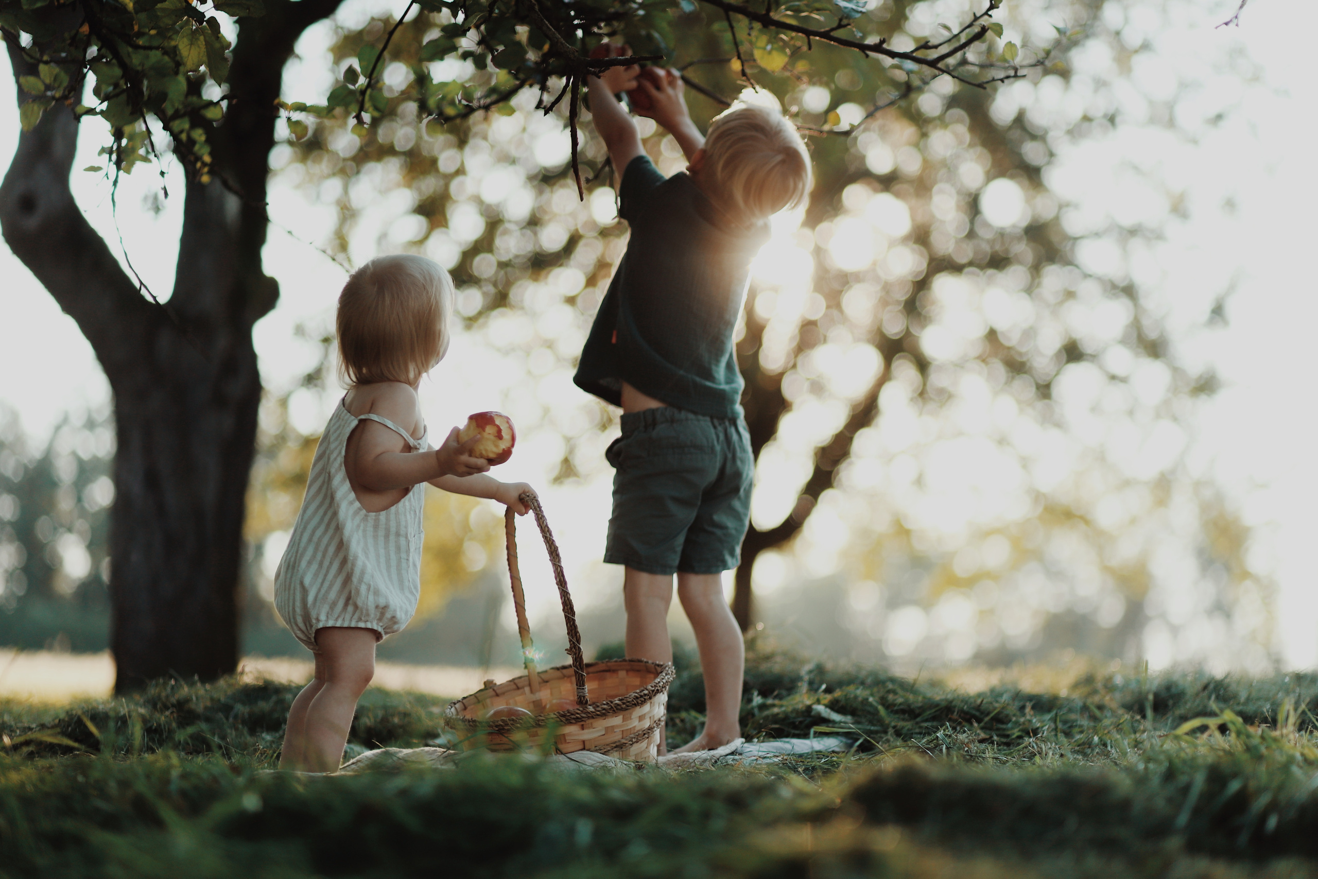 Apfelgarten-Shooting. Olena Fritz Fotografie